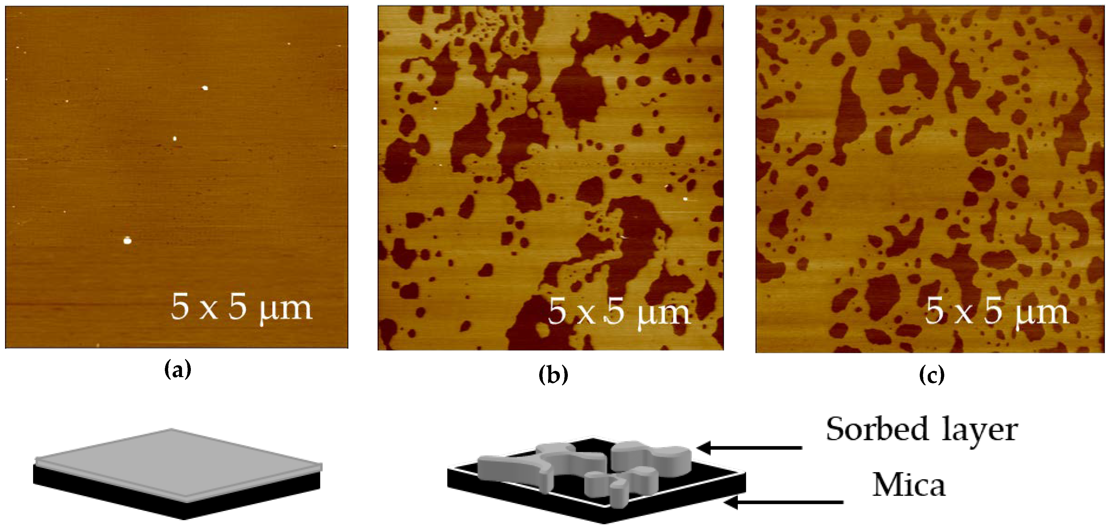 Cosmetics 06 00031 g005