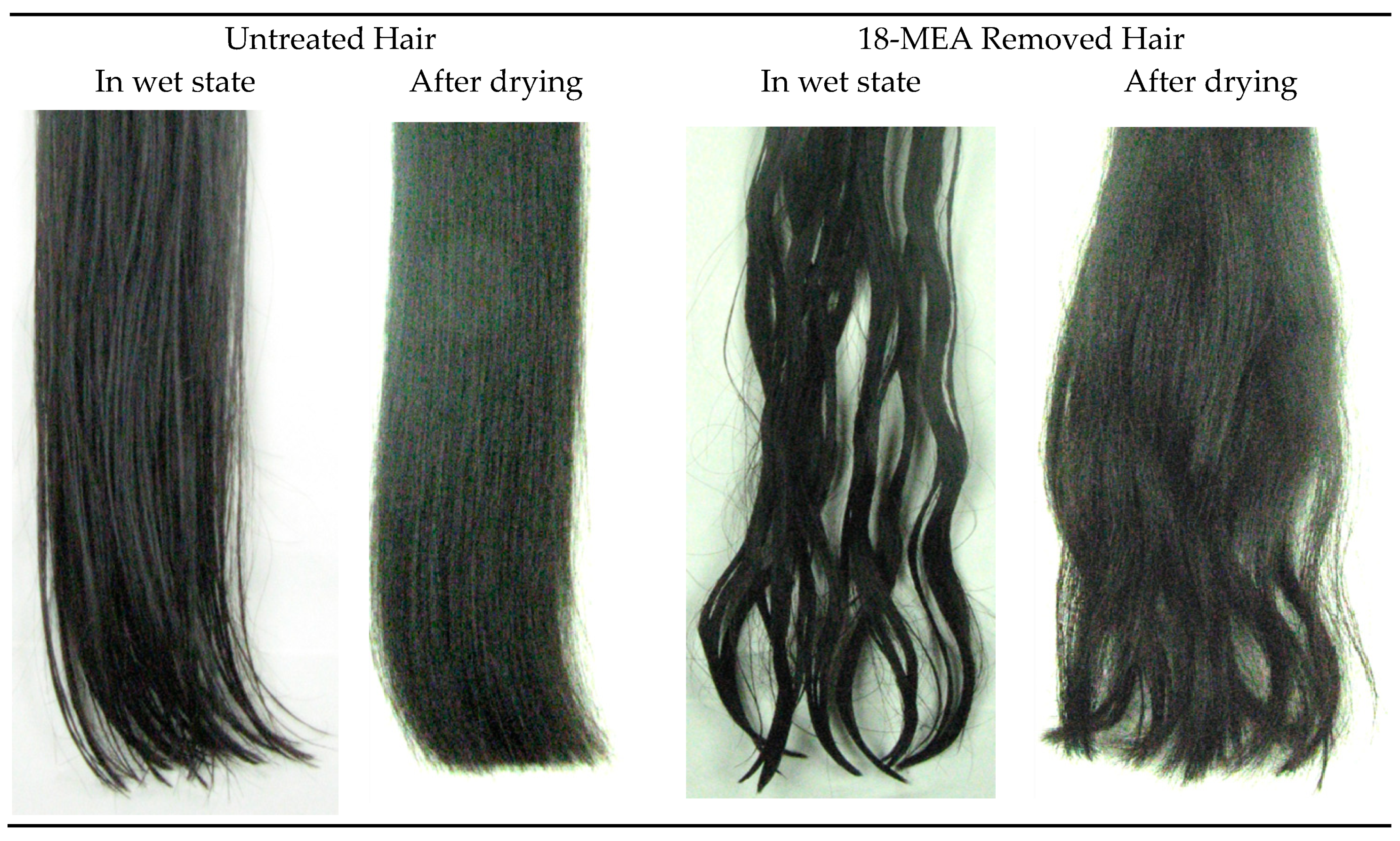 Cosmetics 06 00031 g010