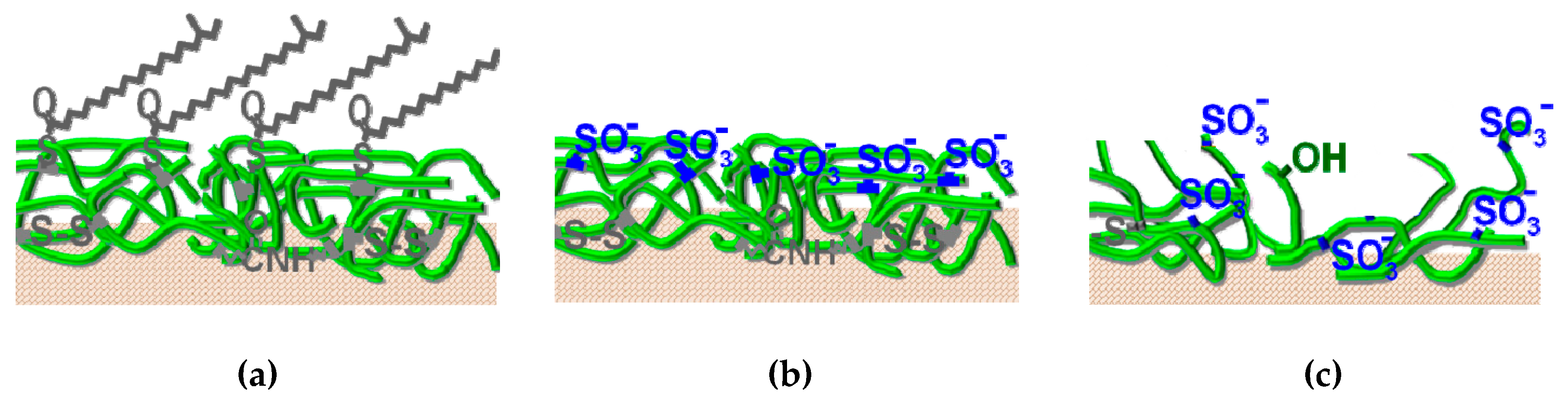 Cosmetics 06 00031 g014