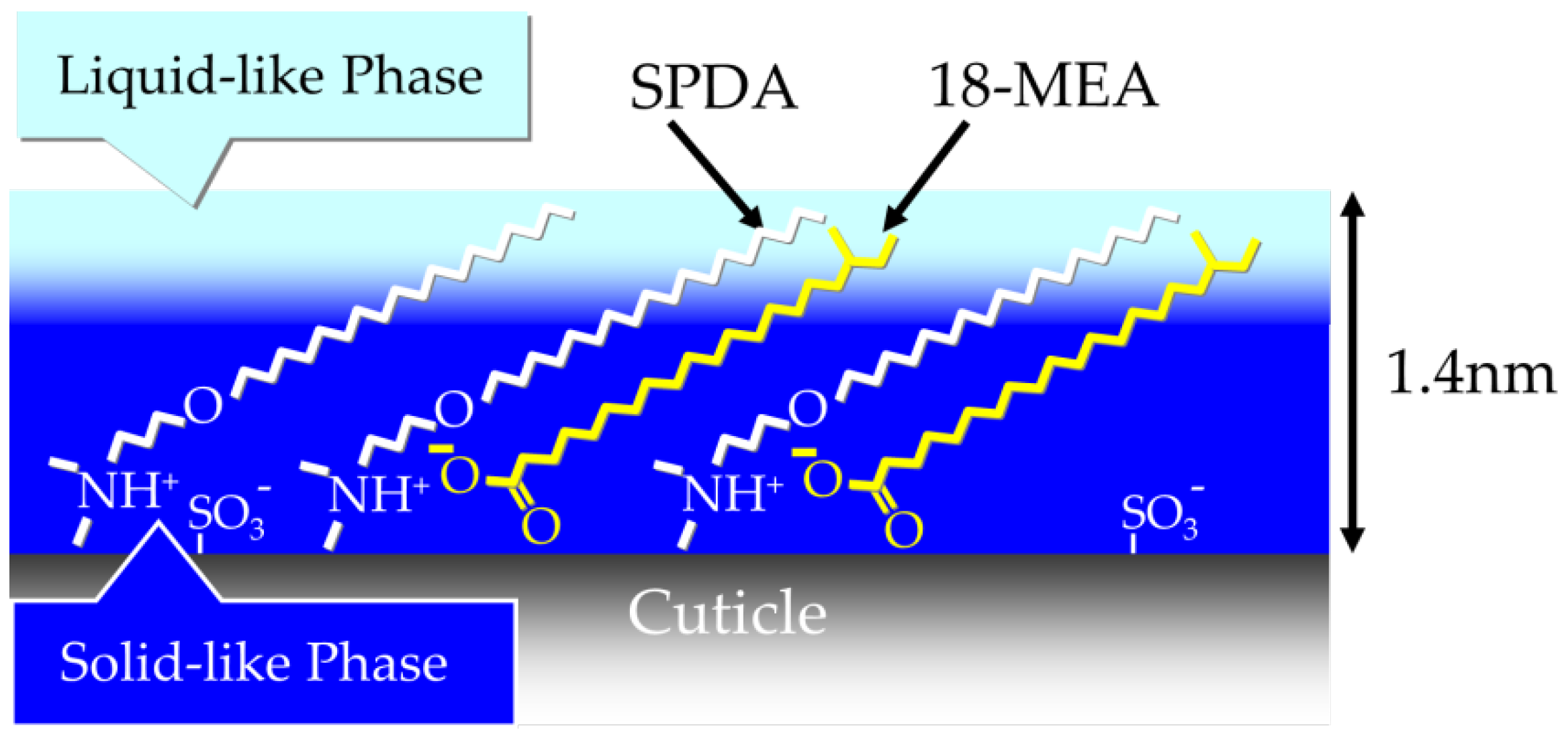 Cosmetics 06 00031 g015