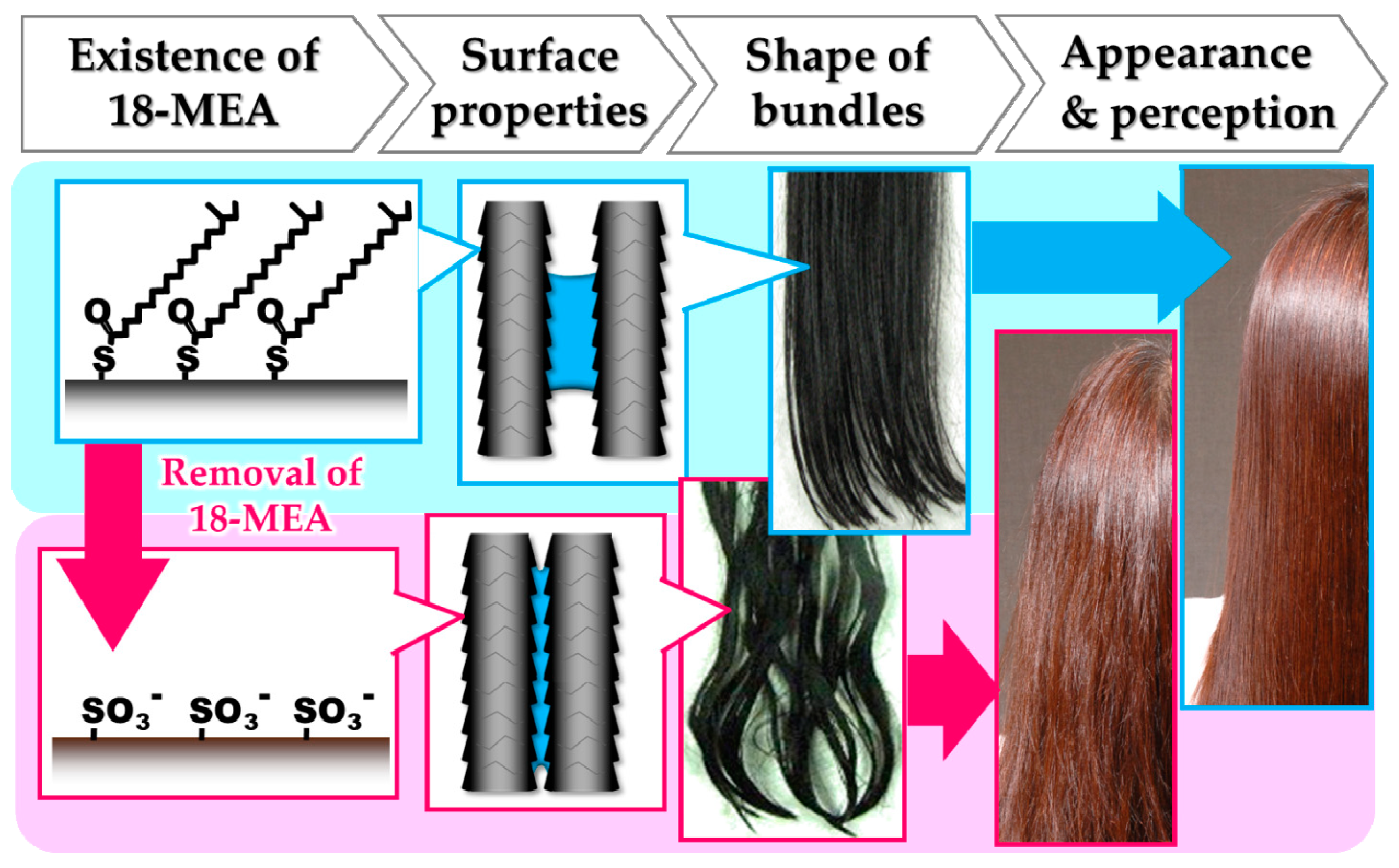 Cosmetics 06 00031 g017