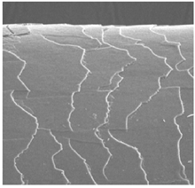 Cosmetics 06 00031 i001 Cosmetics 06 00031 i001