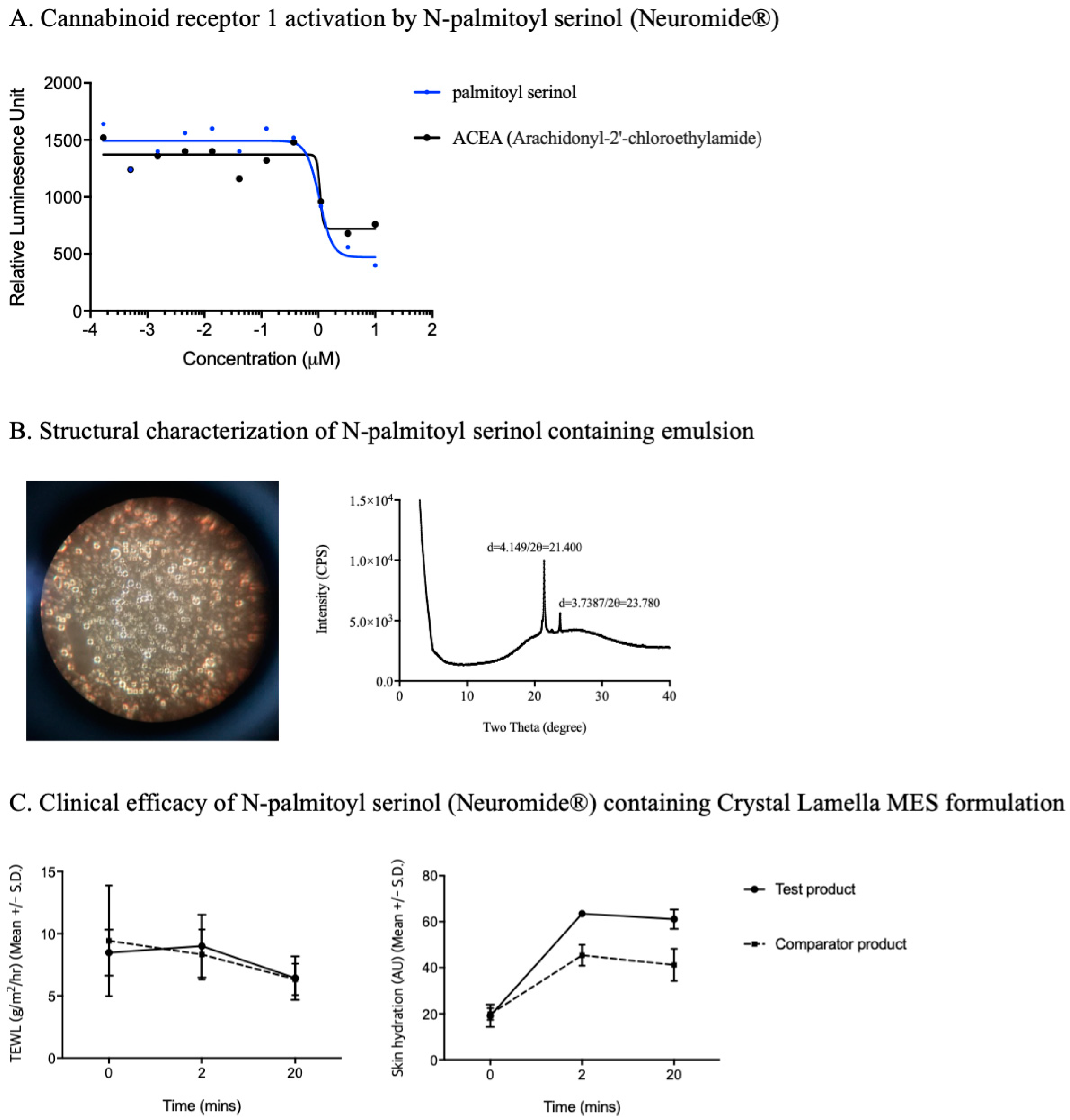 Cosmetics 06 00033 g003