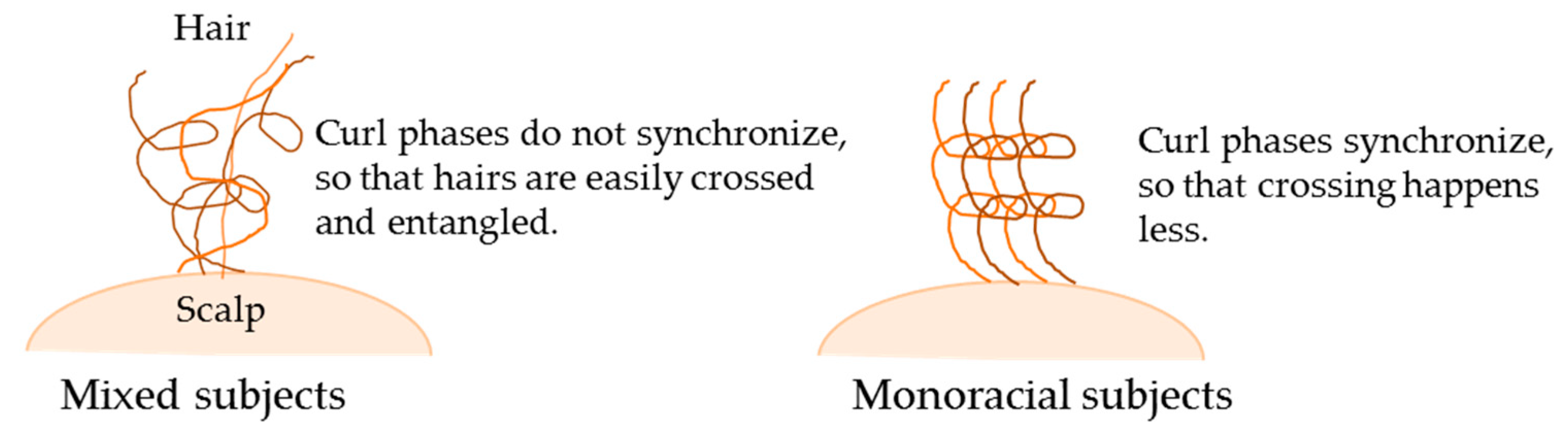 Cosmetics 06 00036 g006