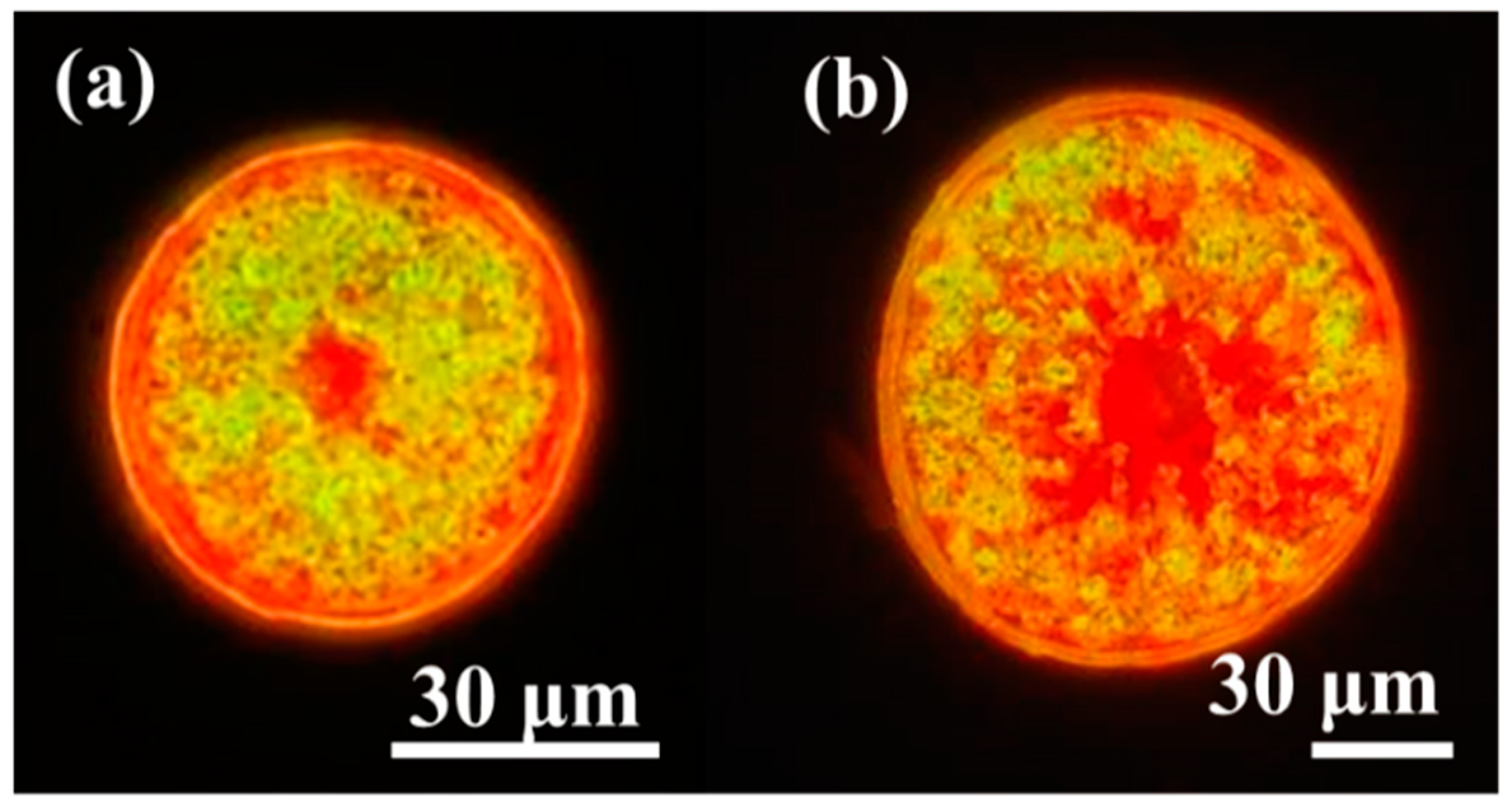Cosmetics 06 00040 g005