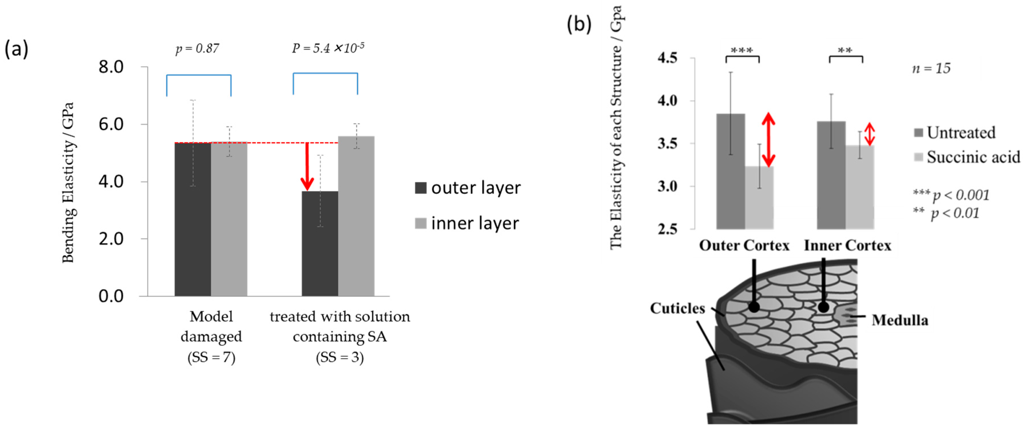Cosmetics 06 00040 g008