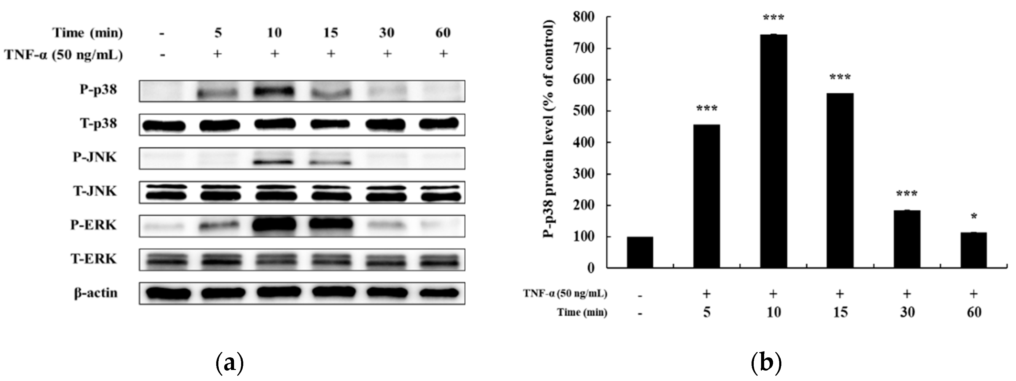 Cosmetics 06 00041 g003a