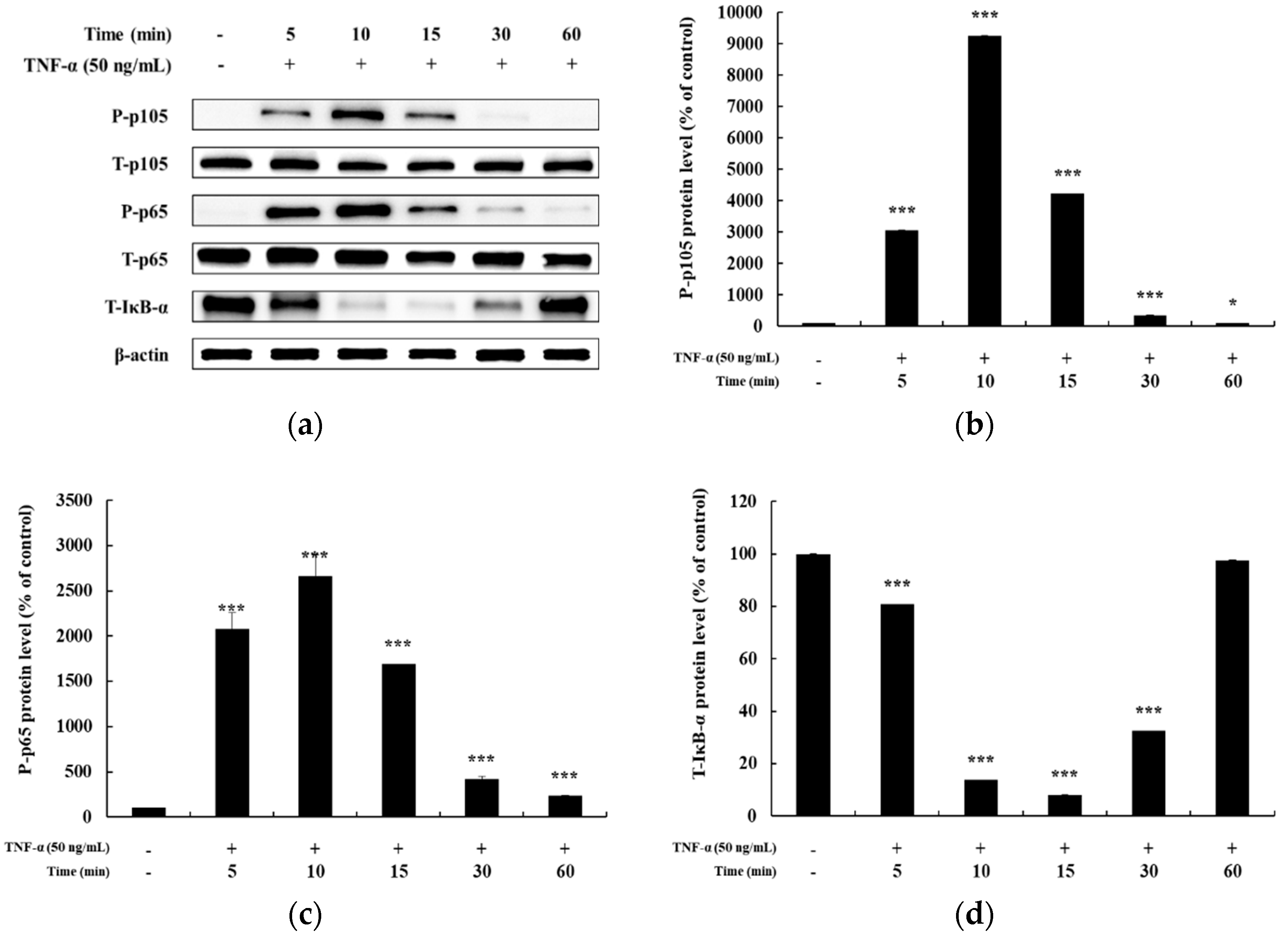 Cosmetics 06 00041 g004