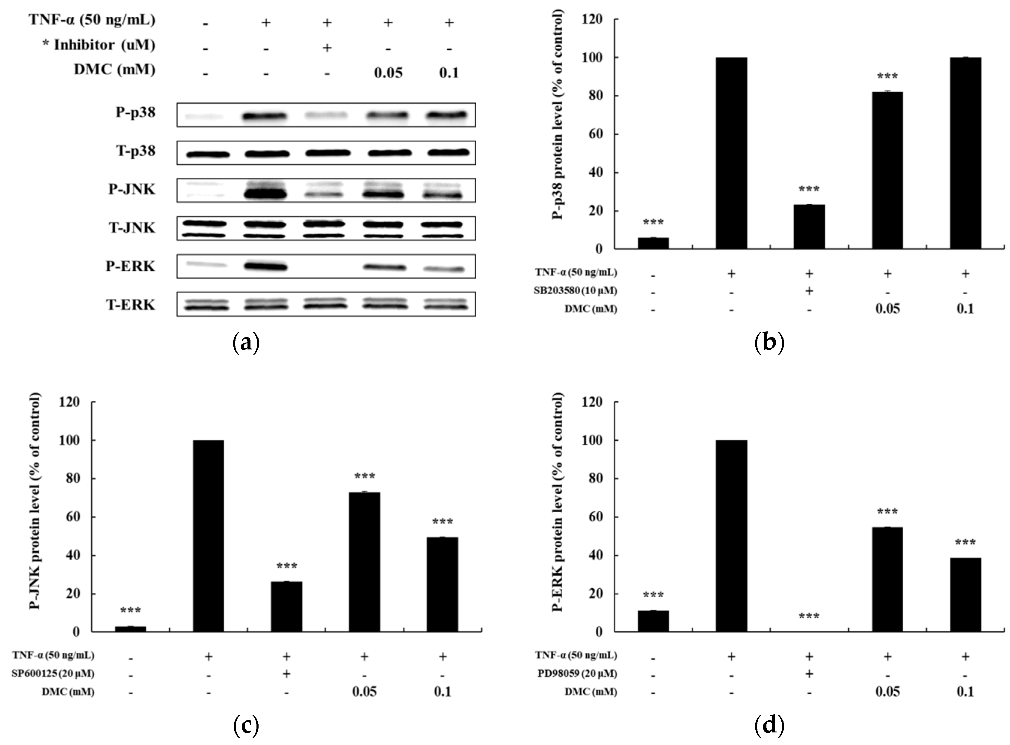 Cosmetics 06 00041 g005
