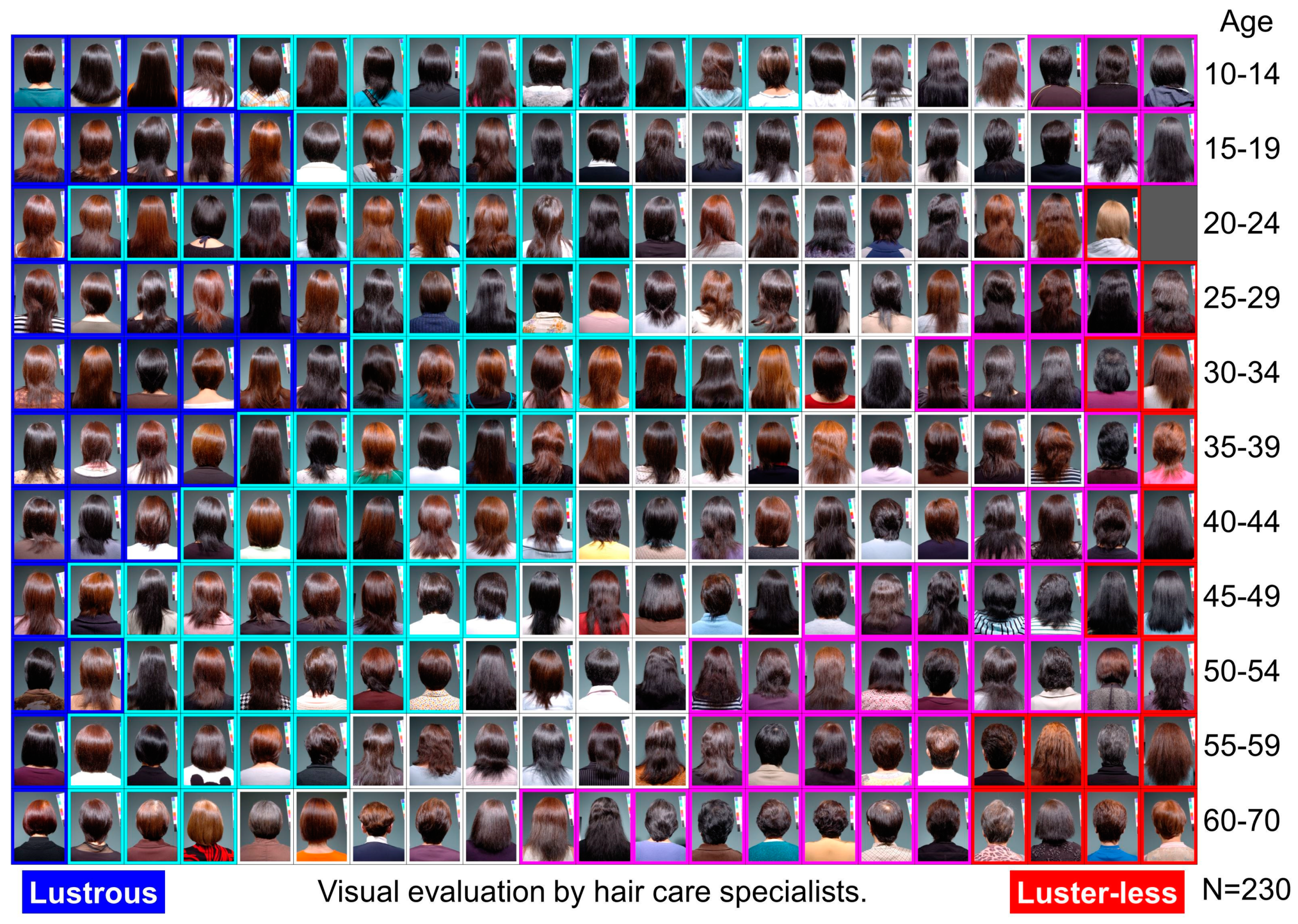 Cosmetics 06 00043 g001