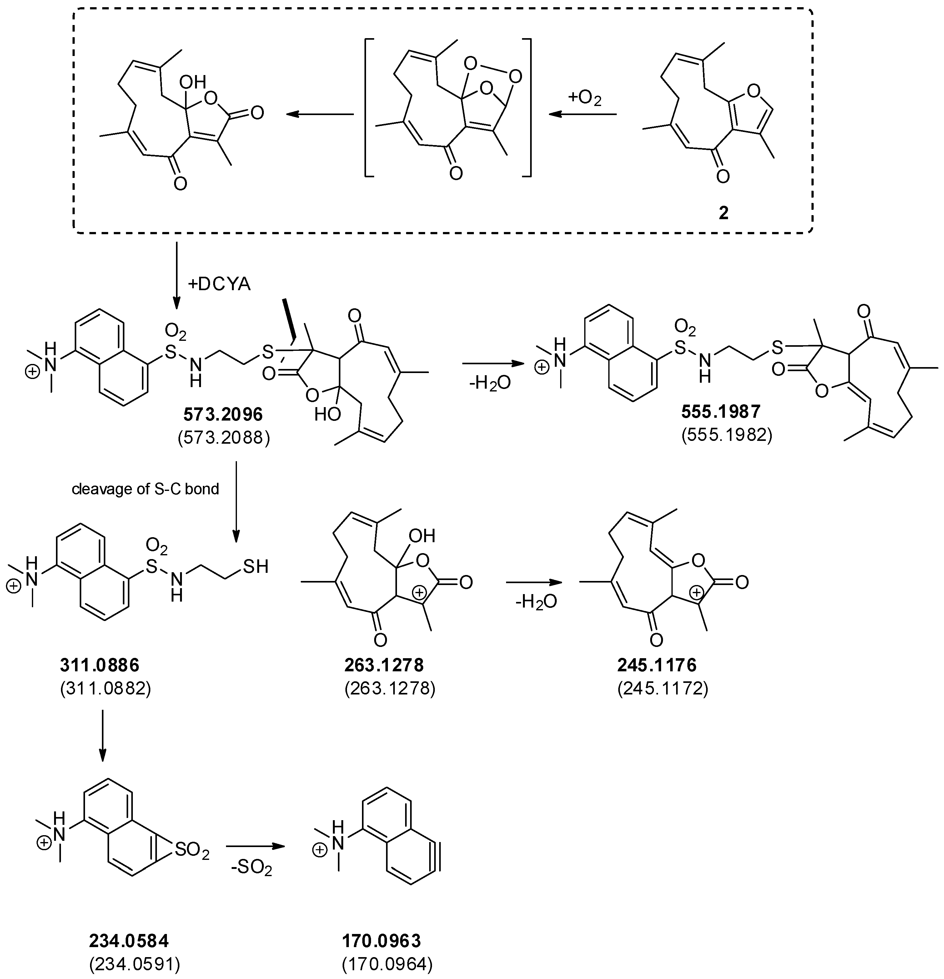 Cosmetics 06 00047 g006