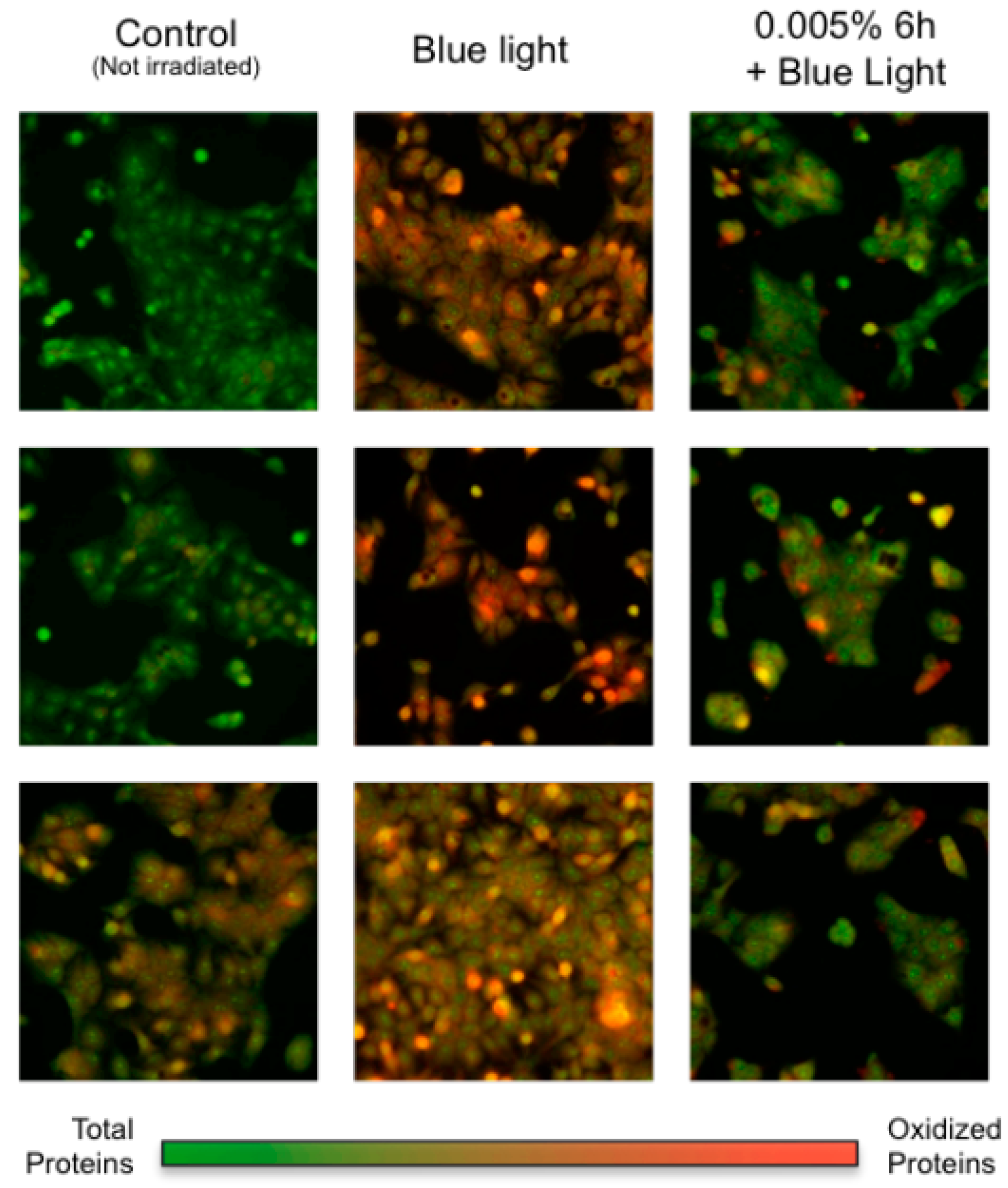 Cosmetics 06 00049 g002 Cosmetics 06 00049 g002