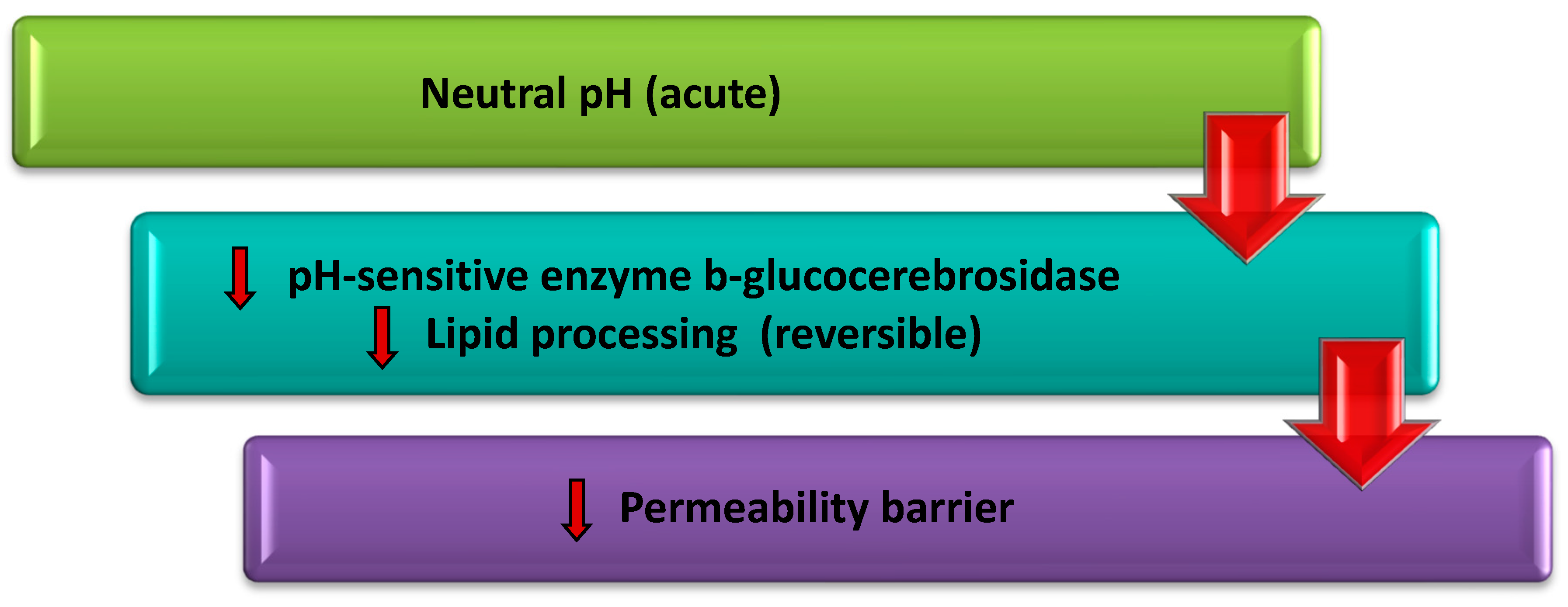 Cosmetics 06 00052 g002