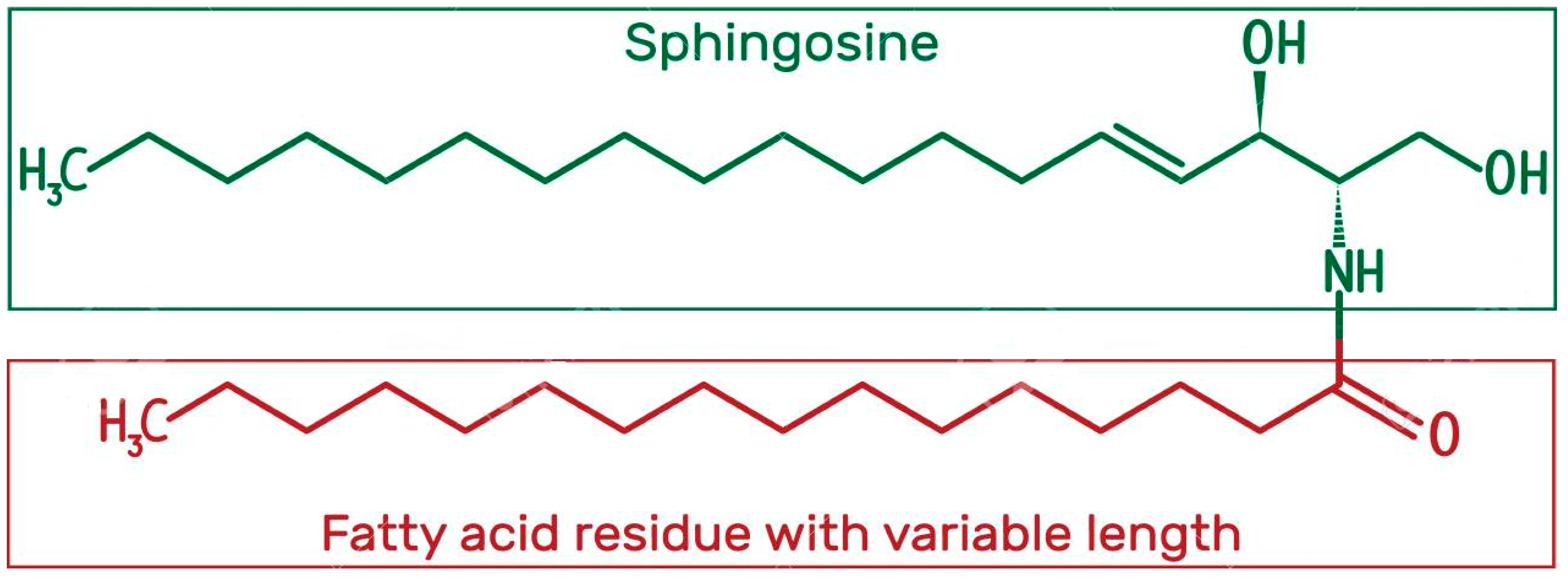Cosmetics 06 00052 g003