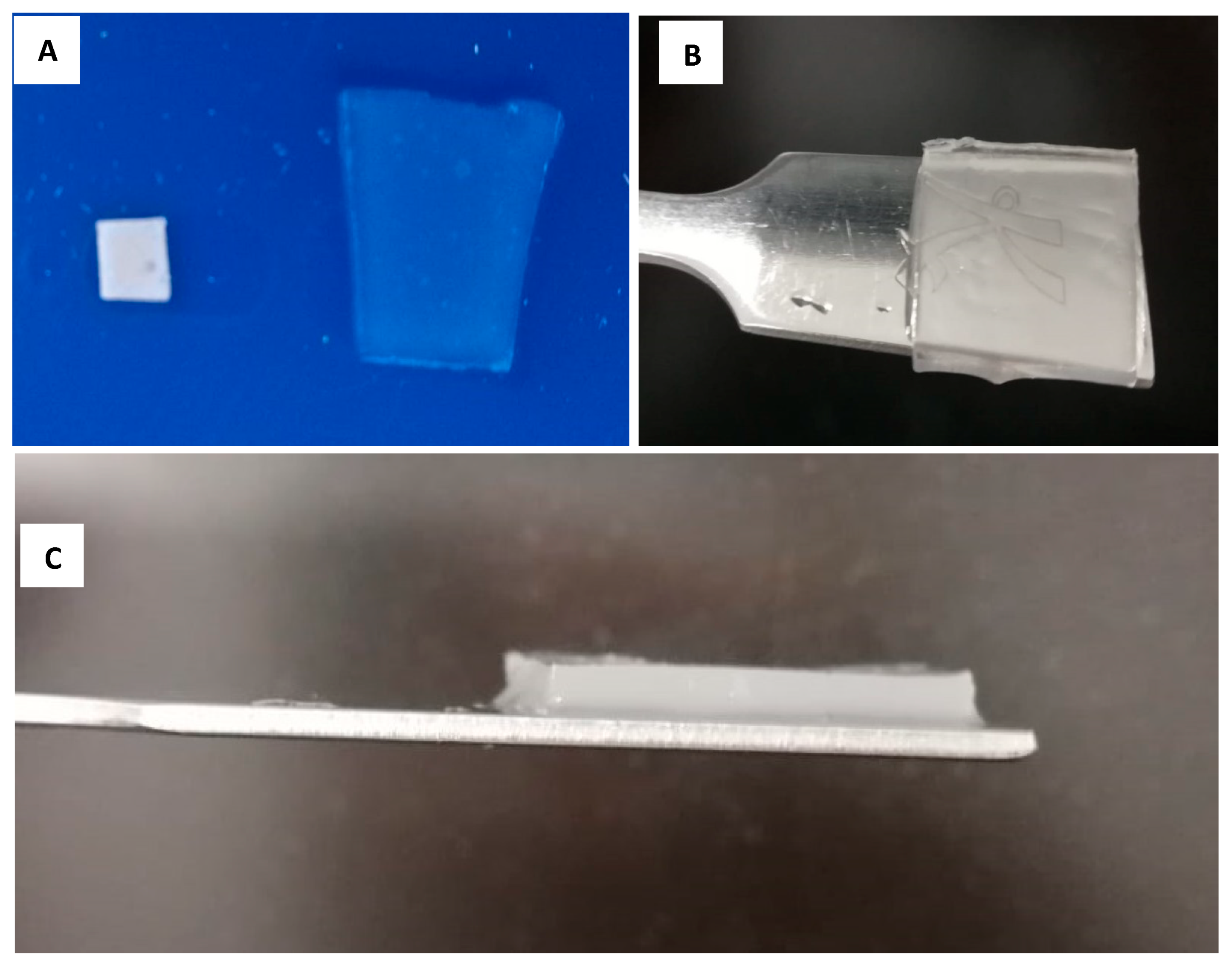 Cosmetics 06 00059 g002