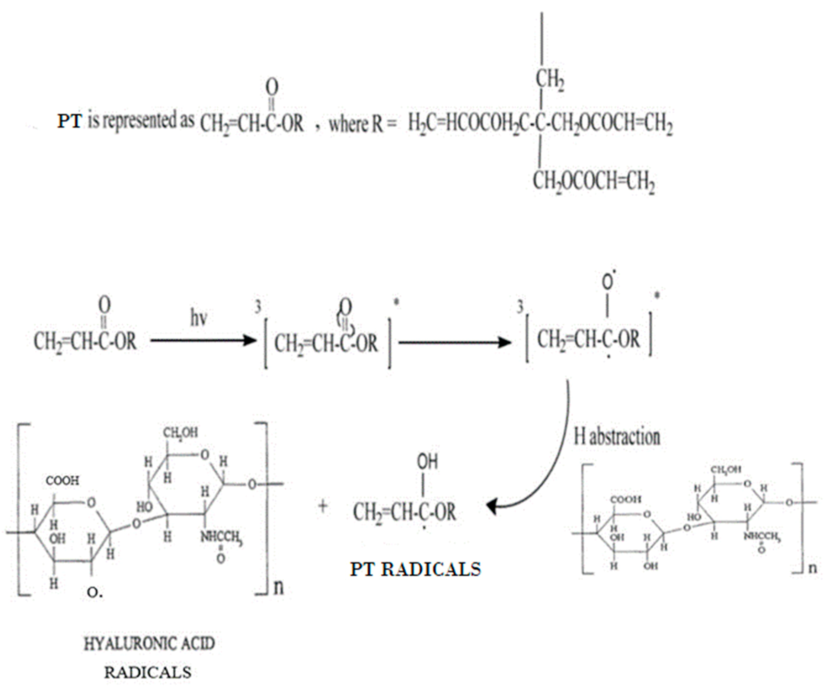 Cosmetics 06 00059 g003