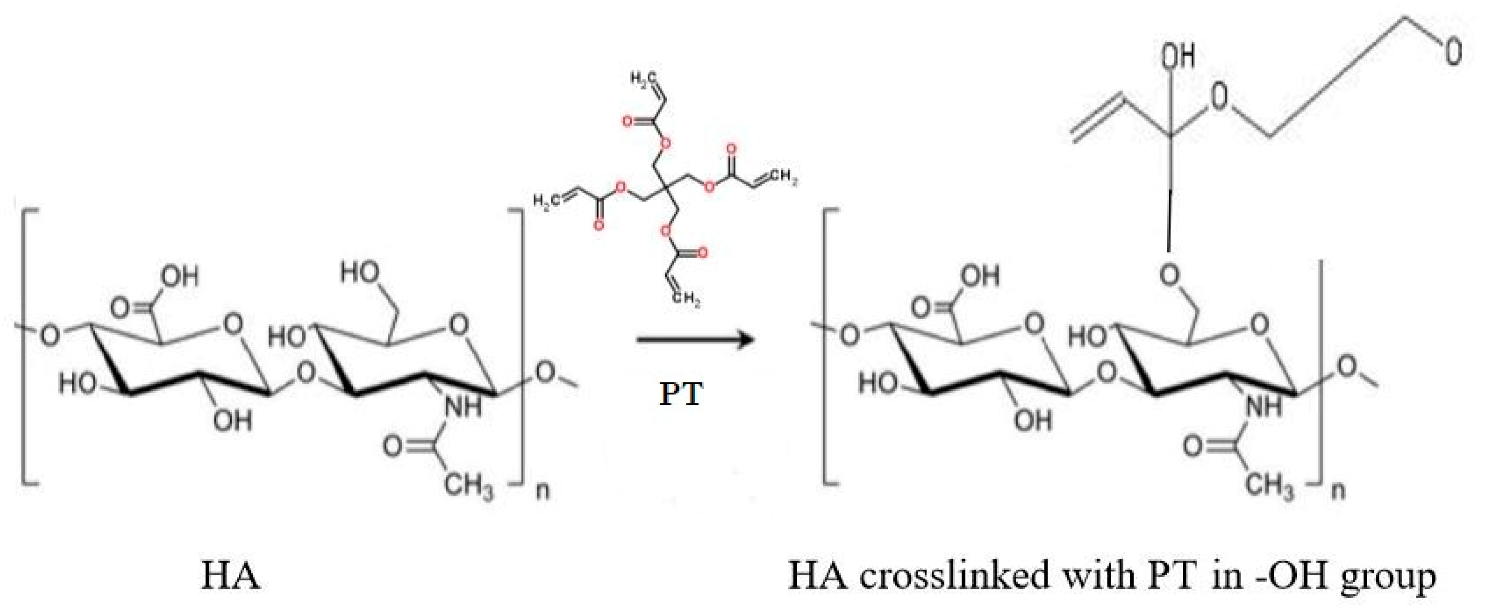 Cosmetics 06 00059 g004