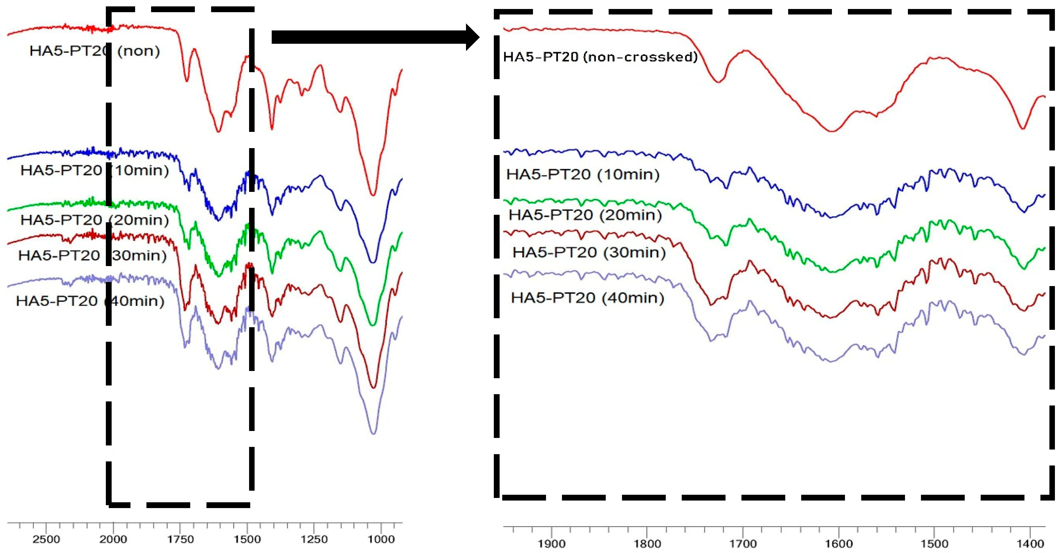 Cosmetics 06 00059 g007