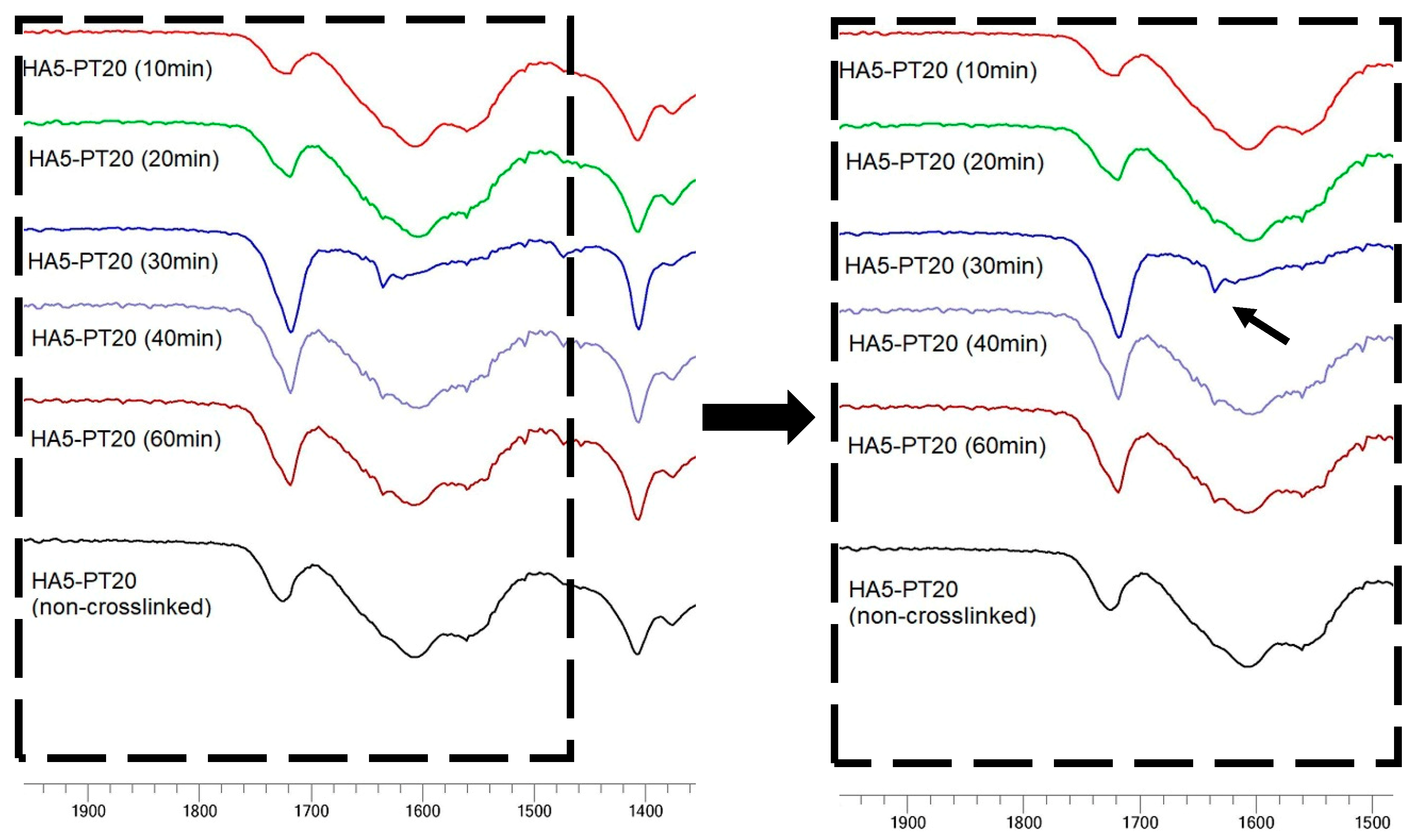 Cosmetics 06 00059 g009