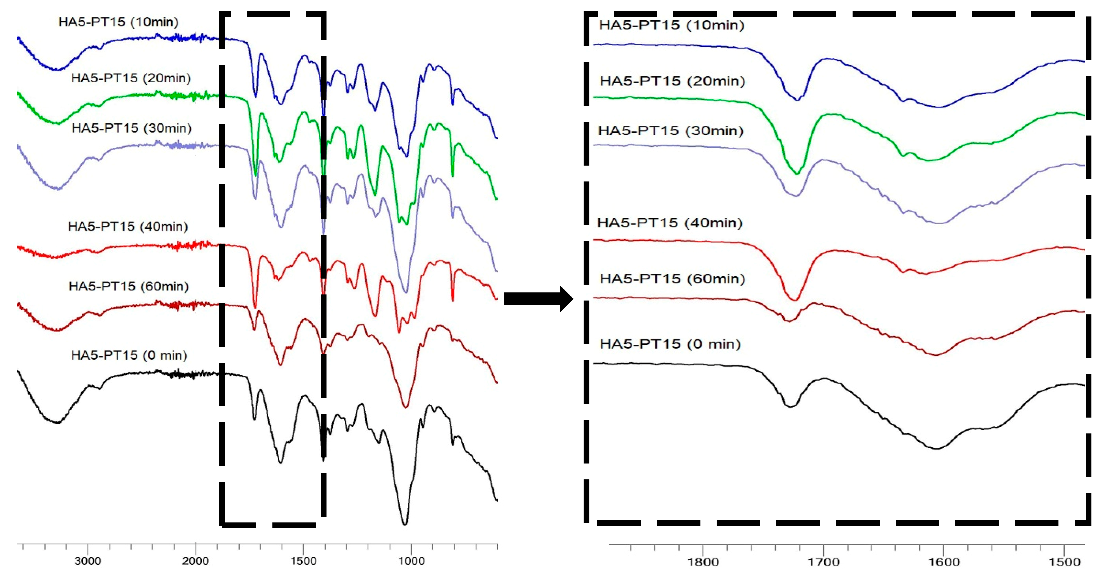 Cosmetics 06 00059 g010