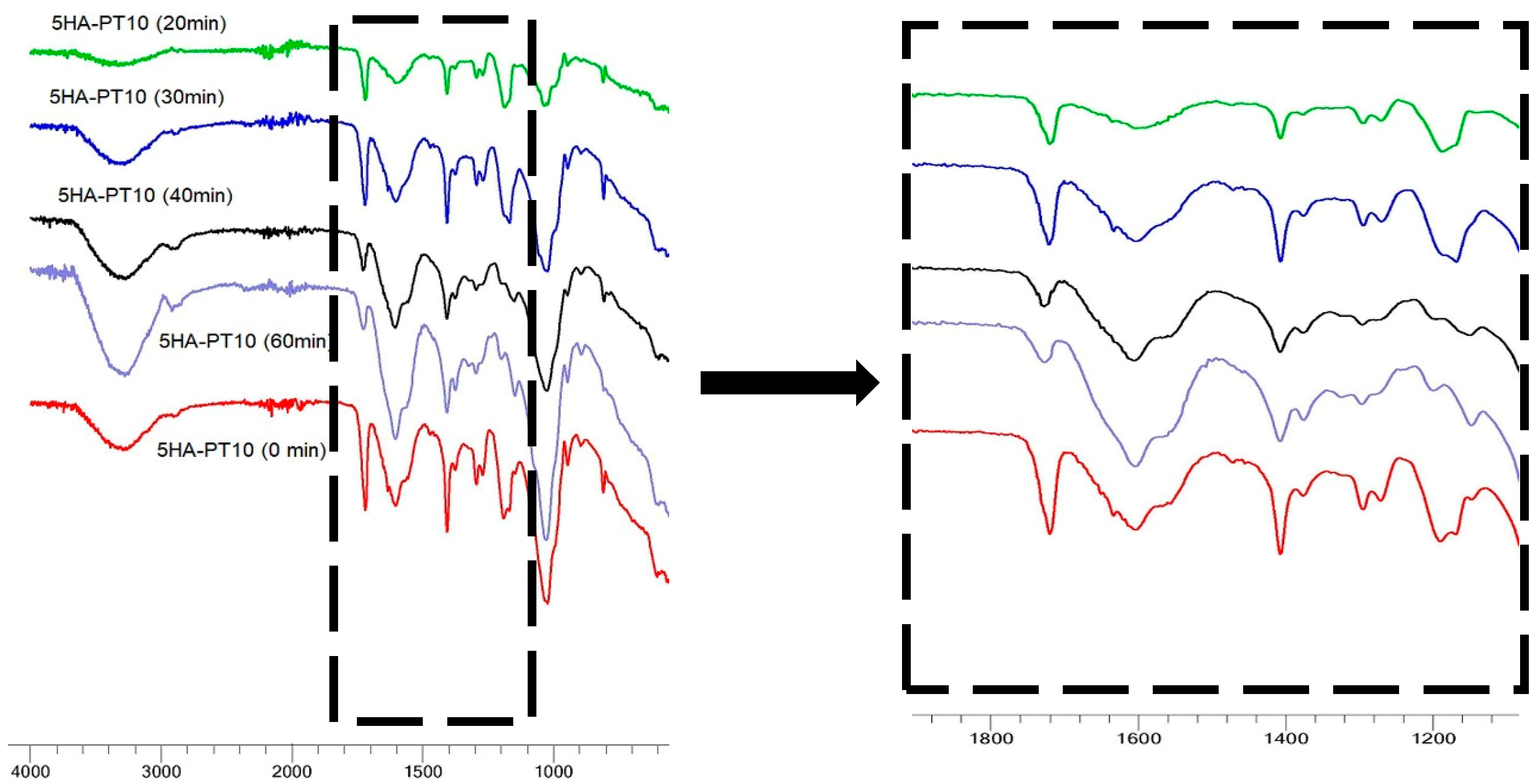 Cosmetics 06 00059 g011