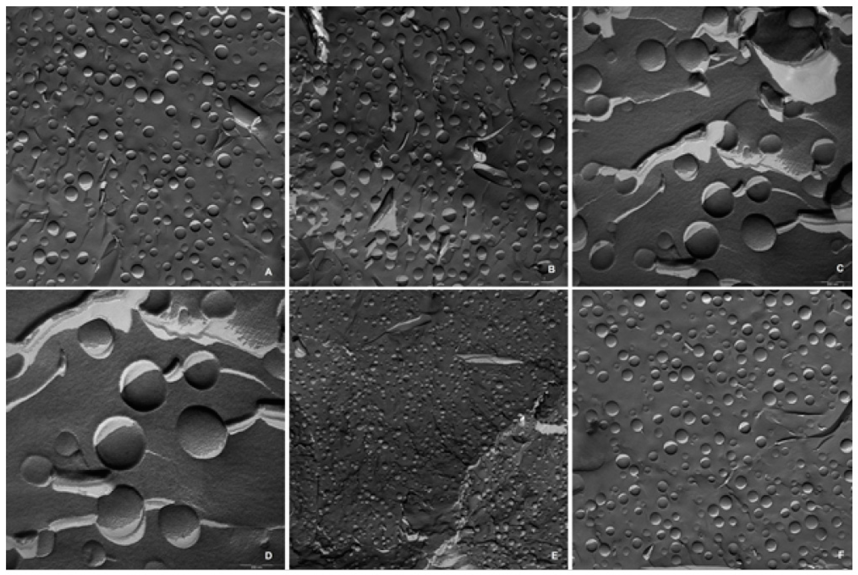 Cosmetics 06 00062 g001