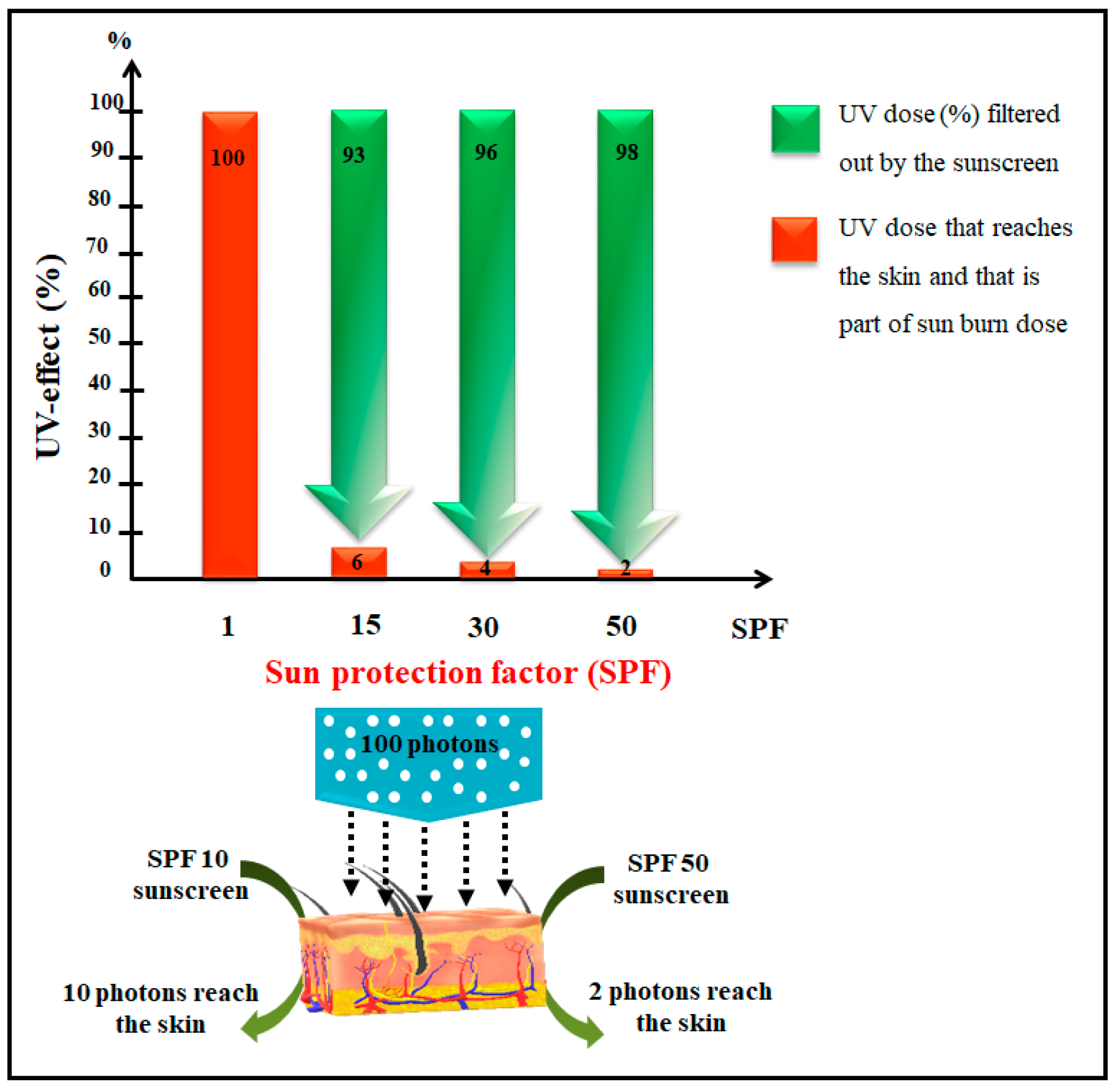 Cosmetics 06 00064 g002