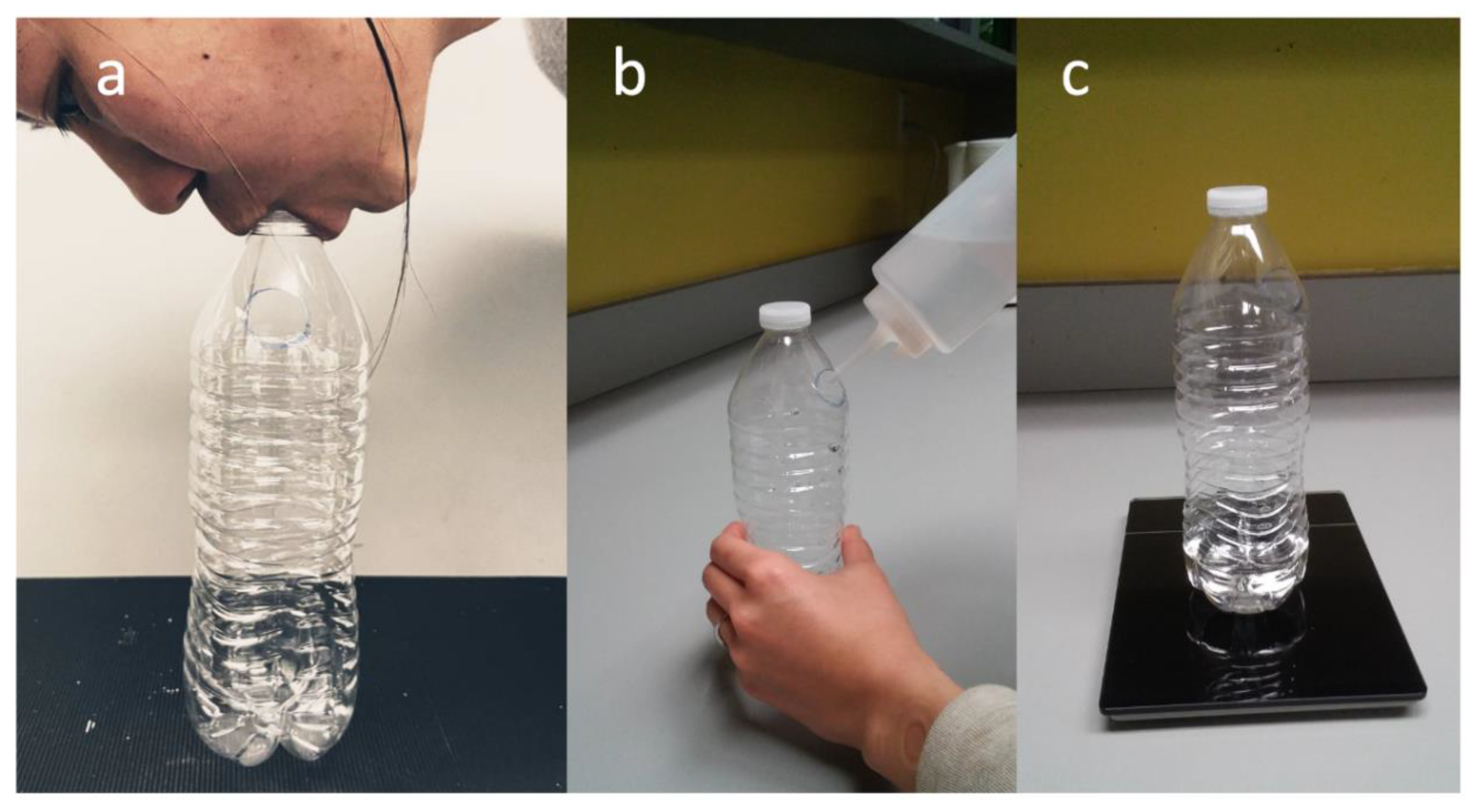 Cosmetics 07 00005 g001