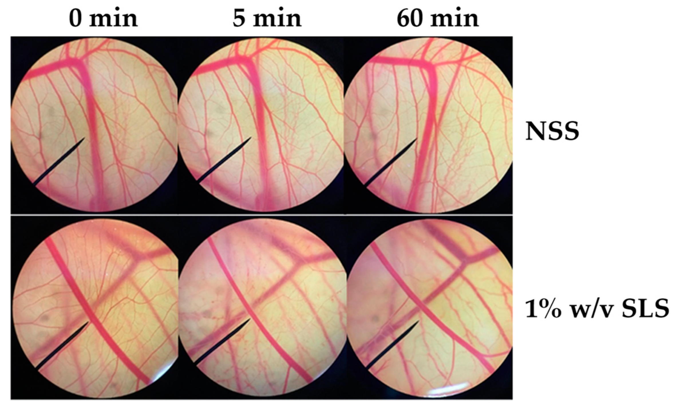 Cosmetics 07 00007 g007