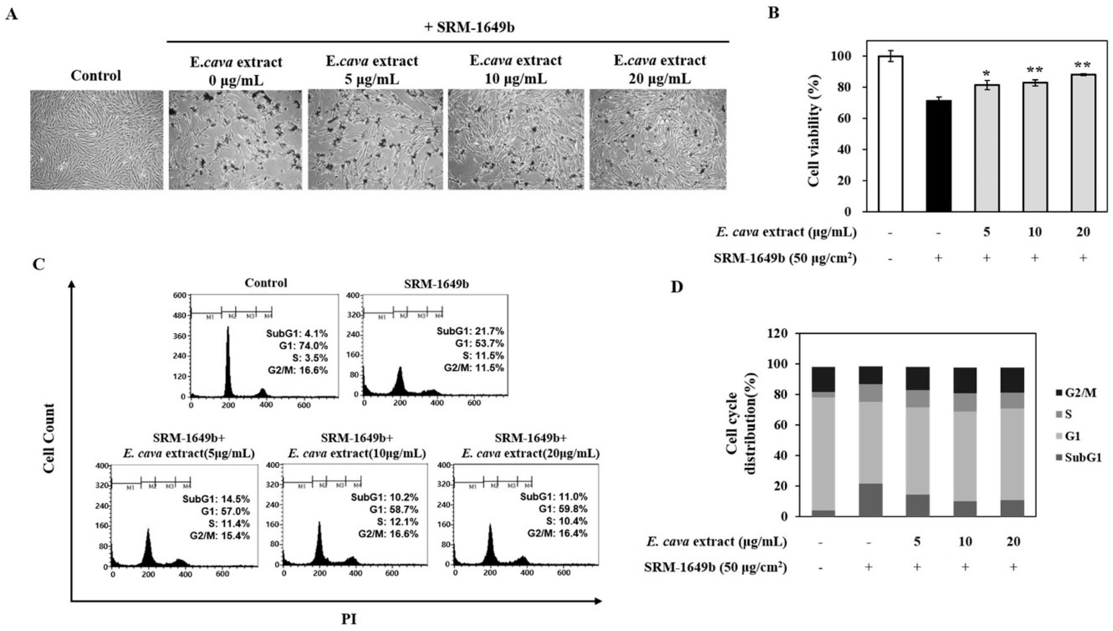 Cosmetics 07 00009 g001