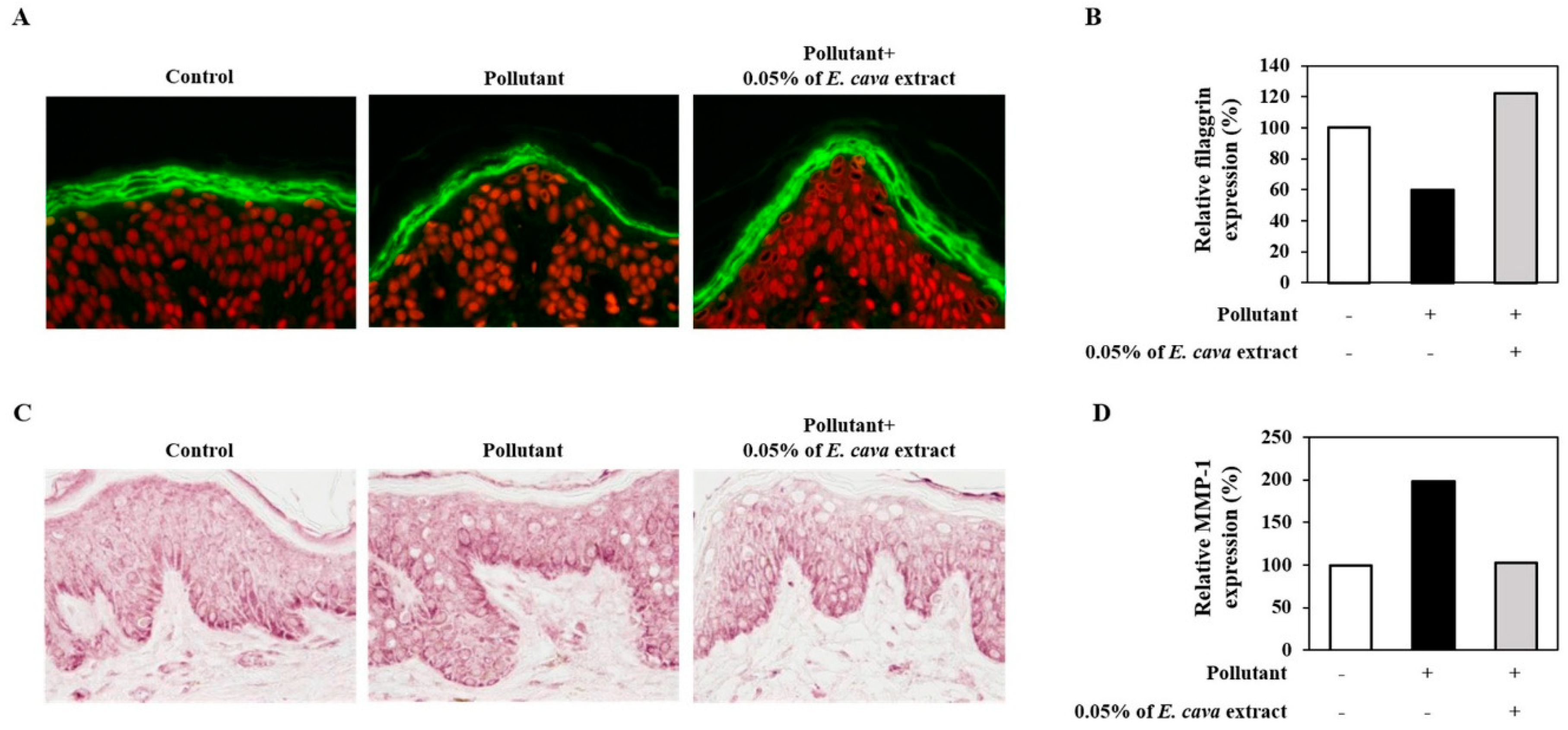 Cosmetics 07 00009 g003