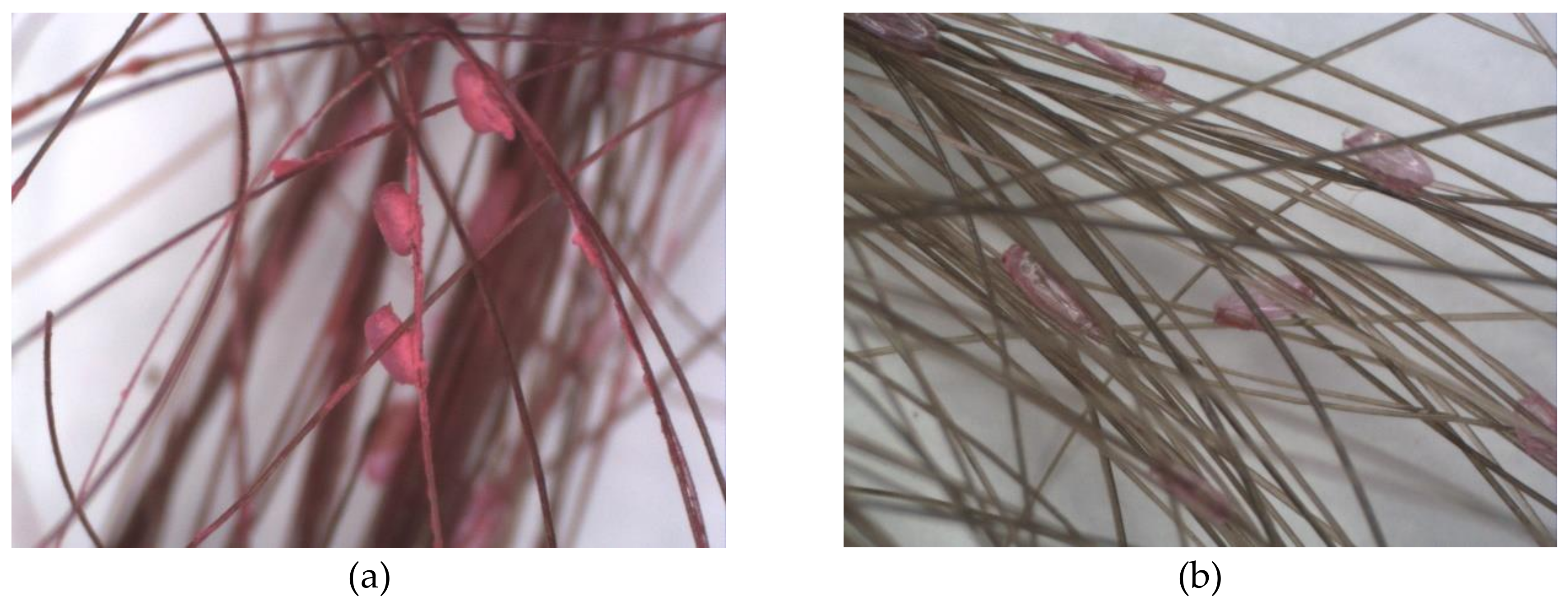 Cosmetics 07 00019 g001