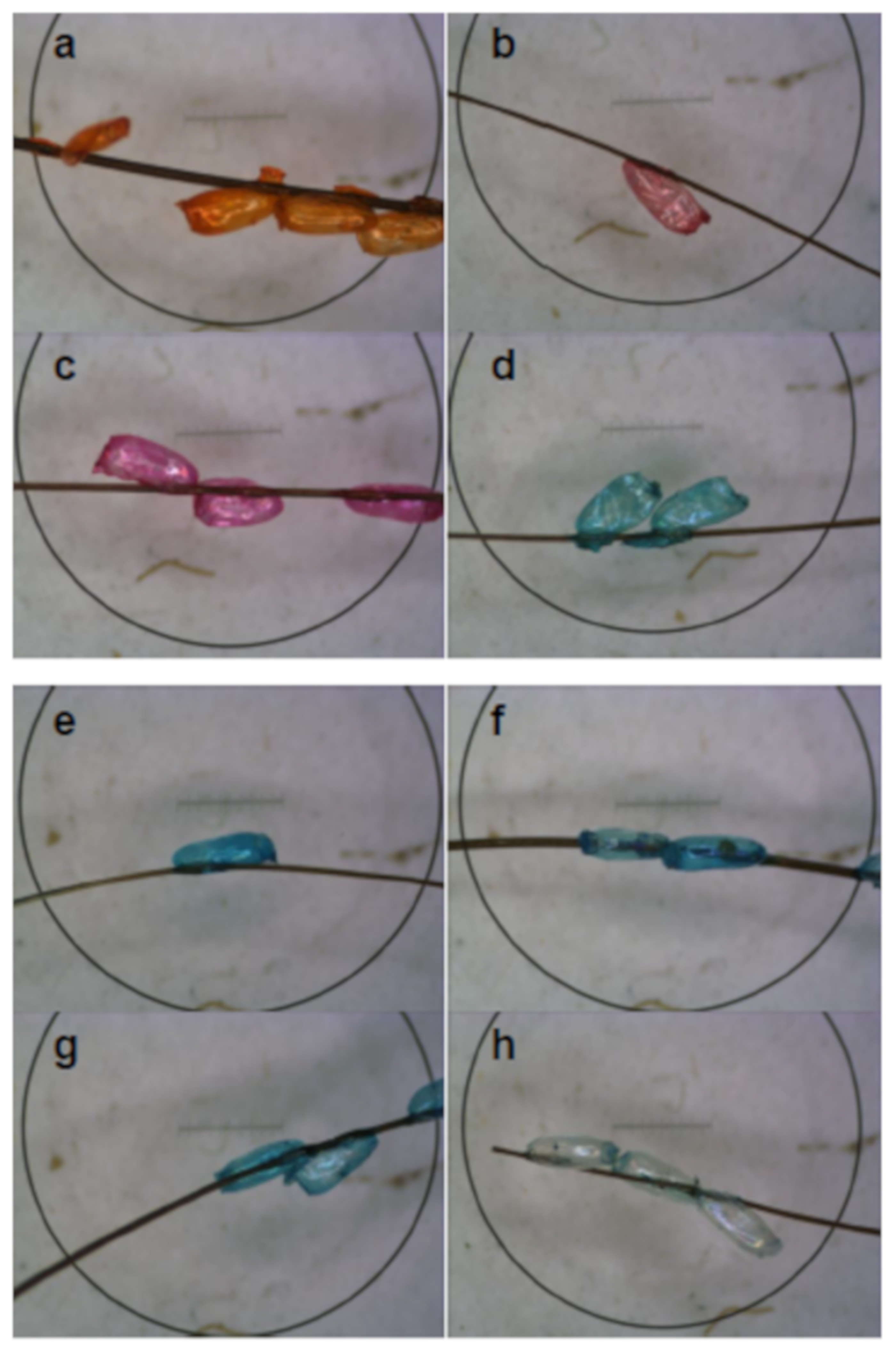 Cosmetics 07 00019 g002
