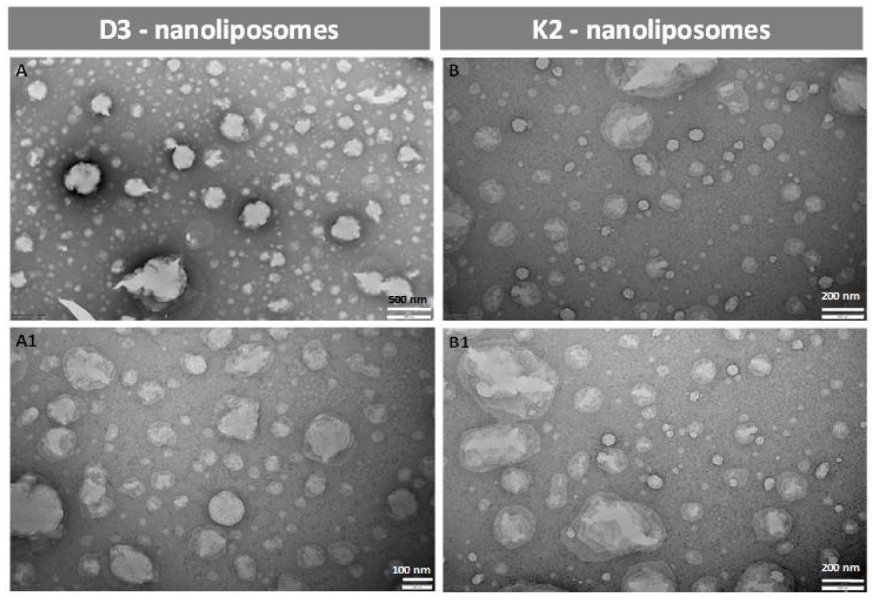 Cosmetics 07 00022 g002