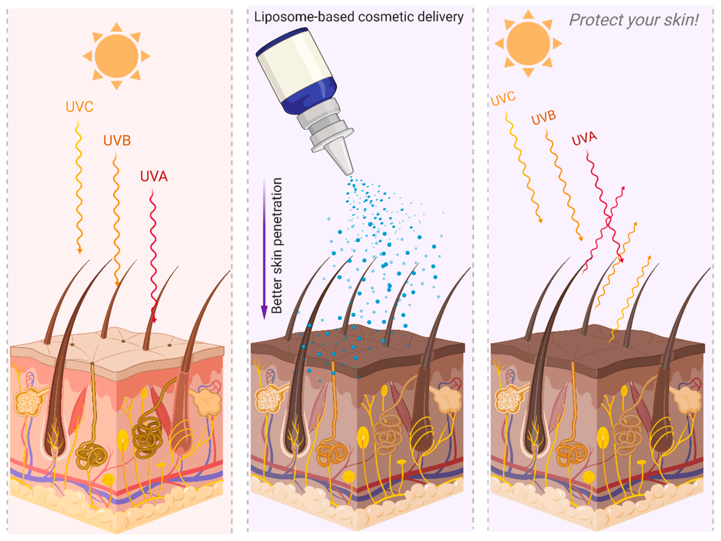 Cosmetics 07 00024 g002