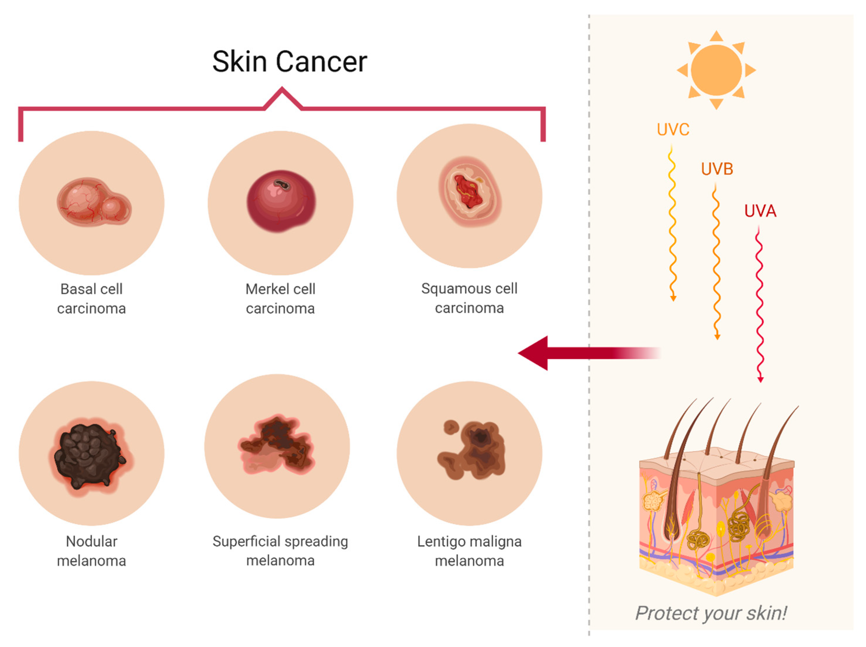 Cosmetics 07 00024 g003