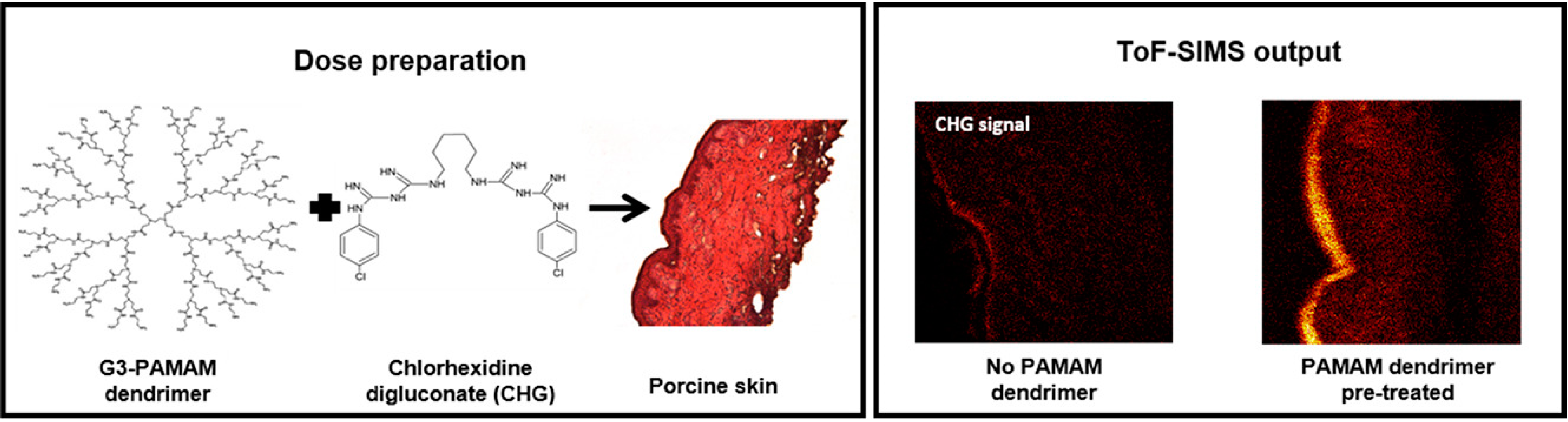 Cosmetics 07 00024 g007