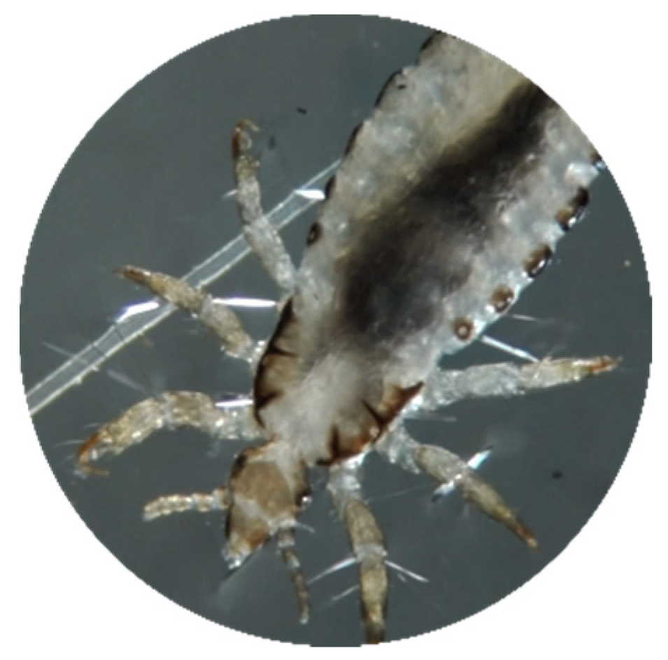 Cosmetics 07 00025 g006 Cosmetics 07 00025 g006