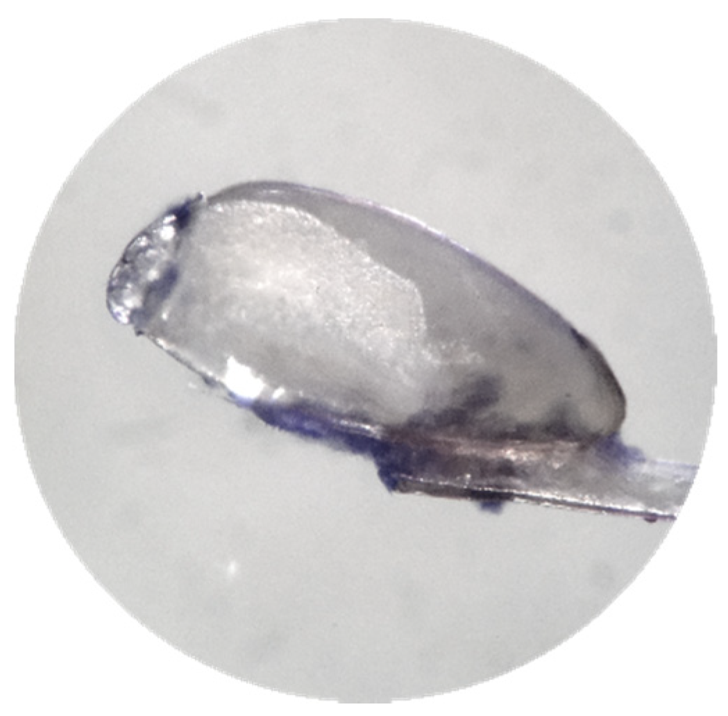 Cosmetics 07 00025 g007 Cosmetics 07 00025 g007