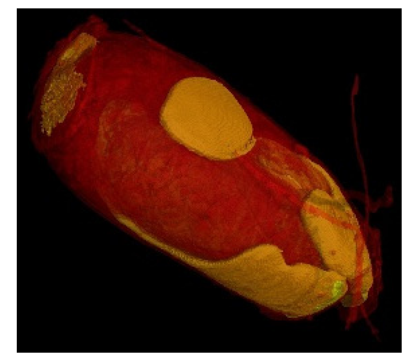 Cosmetics 07 00025 g008 Cosmetics 07 00025 g008