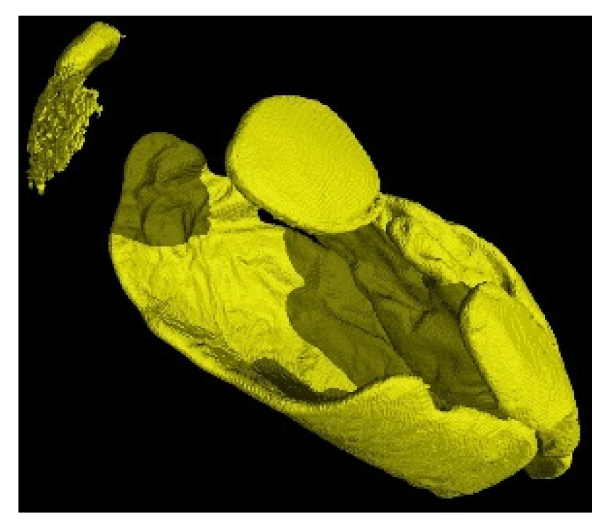 Cosmetics 07 00025 g009 Cosmetics 07 00025 g009