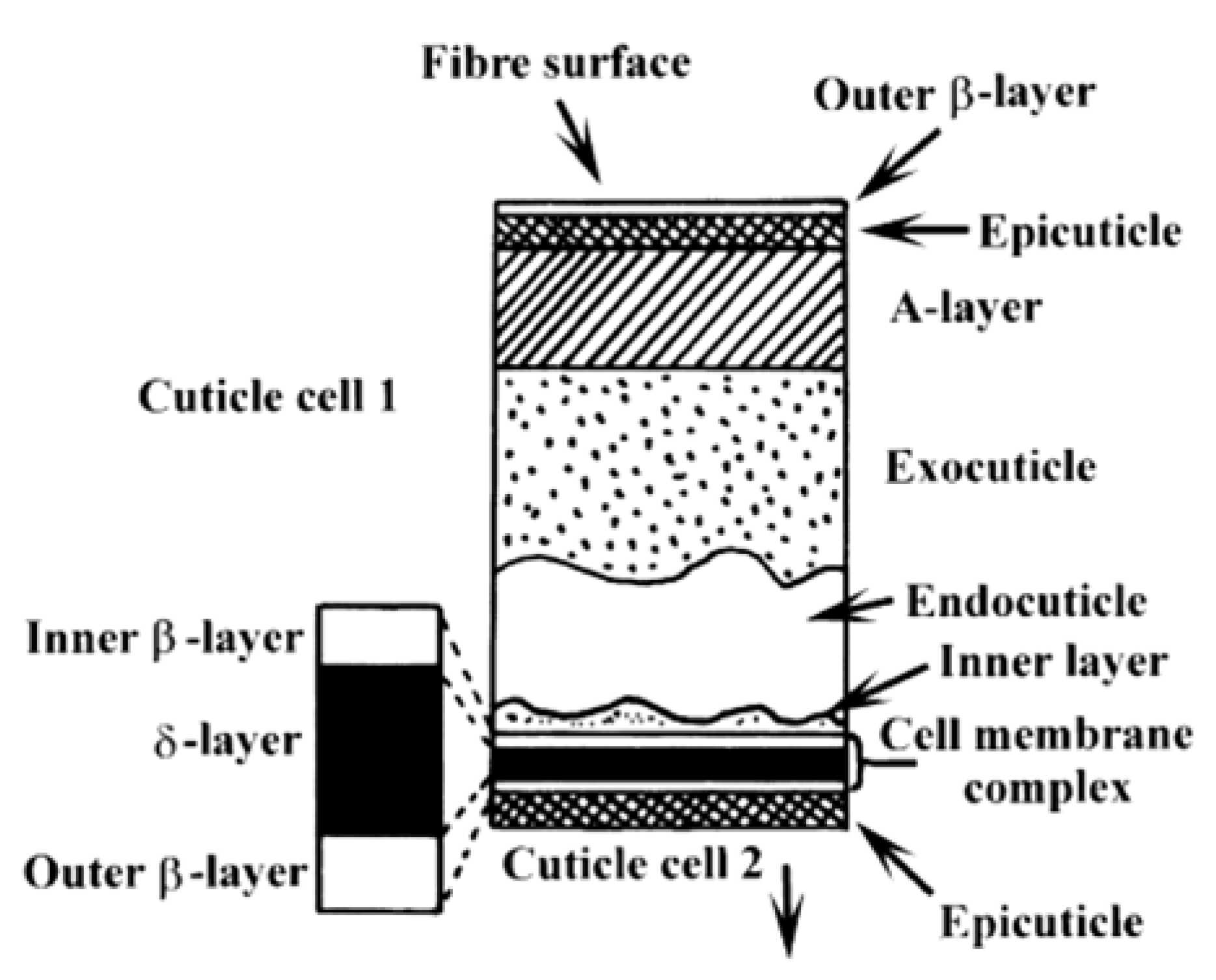 Cosmetics 07 00026 g002