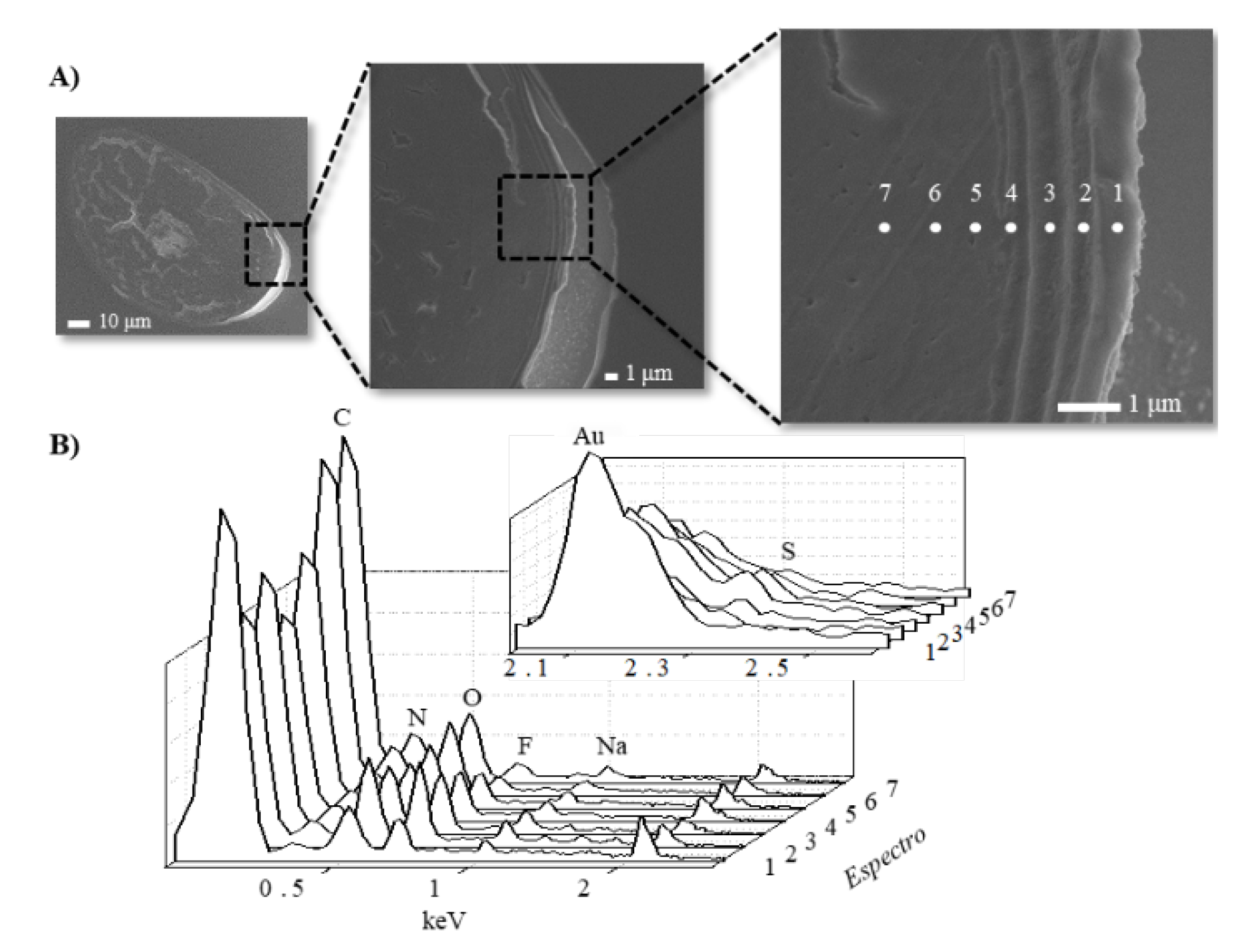 Cosmetics 07 00026 g004