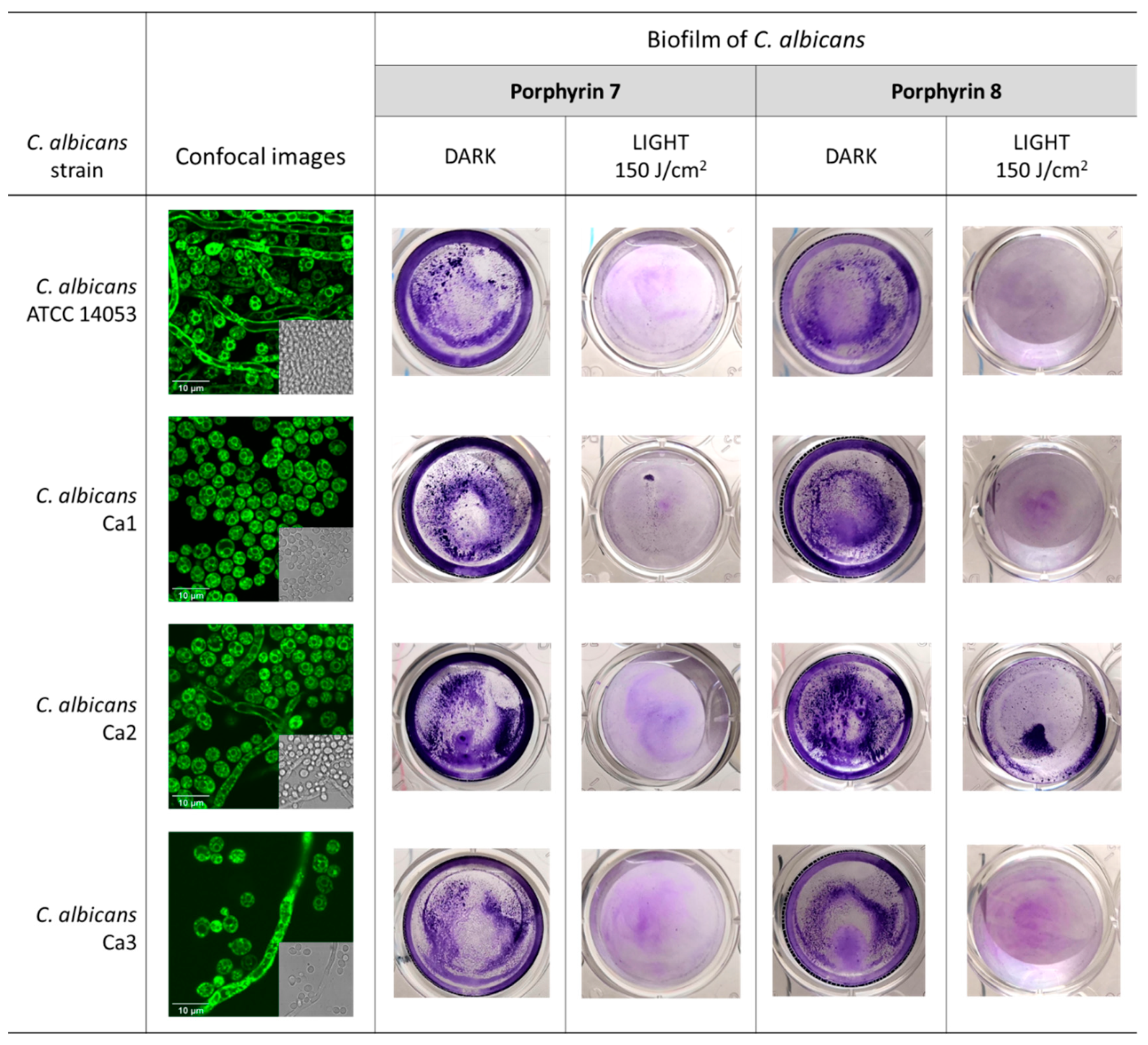 Cosmetics 07 00031 g007