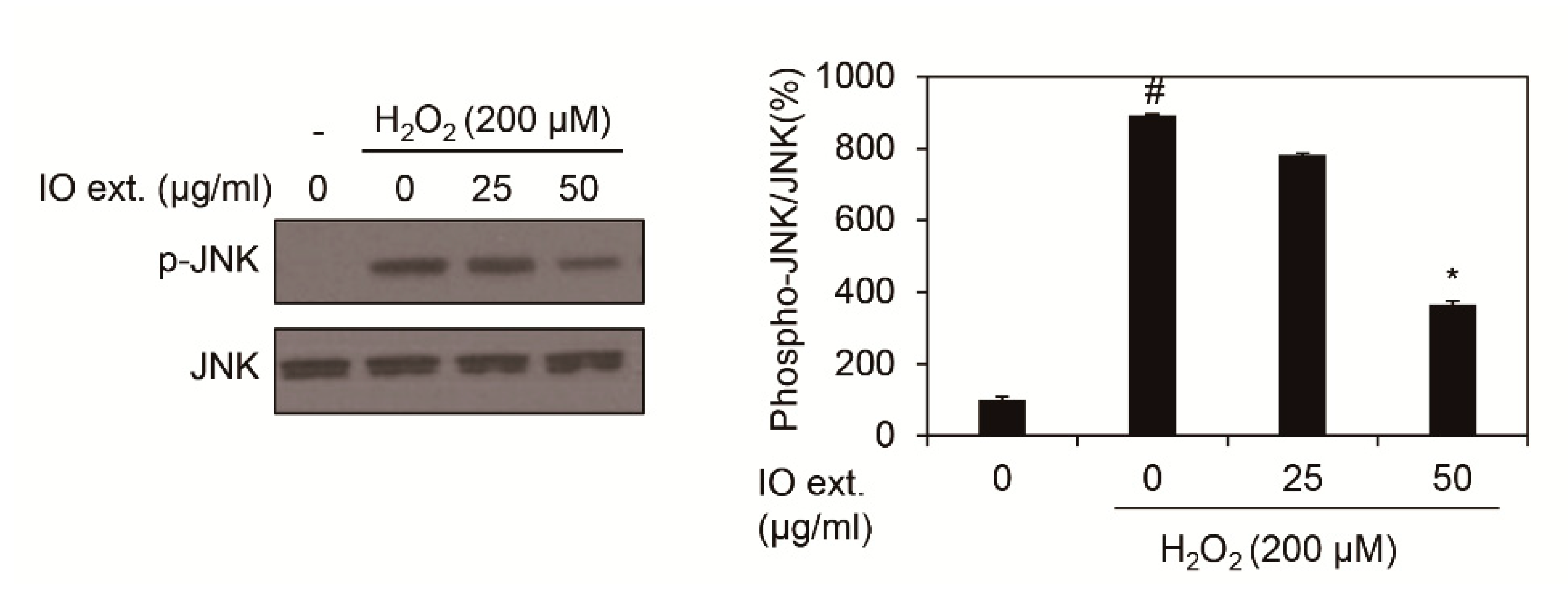 Cosmetics 07 00036 g004