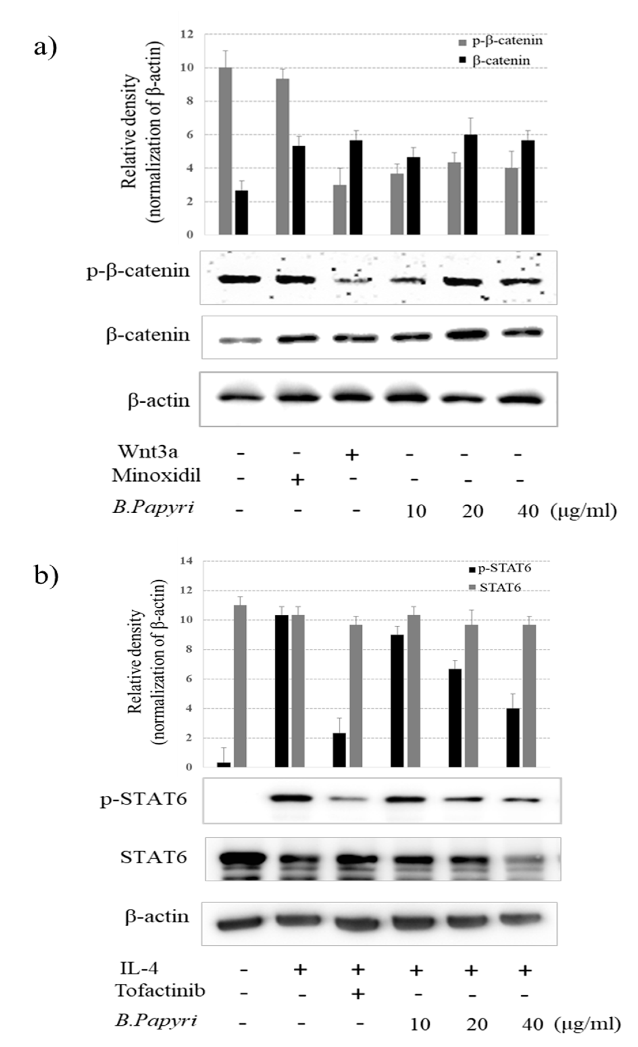 Cosmetics 07 00040 g003 Cosmetics 07 00040 g003