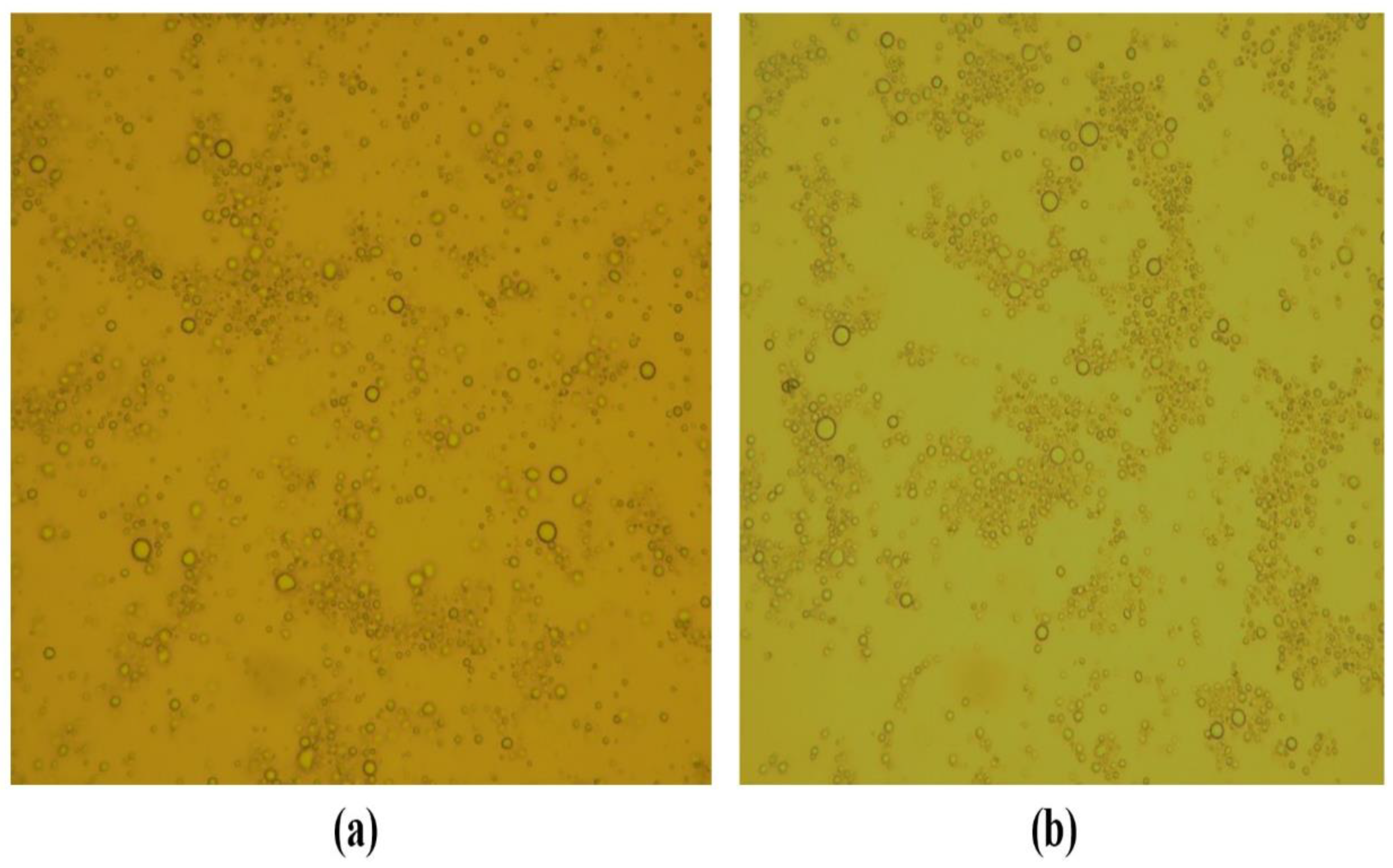 Cosmetics 07 00043 g004