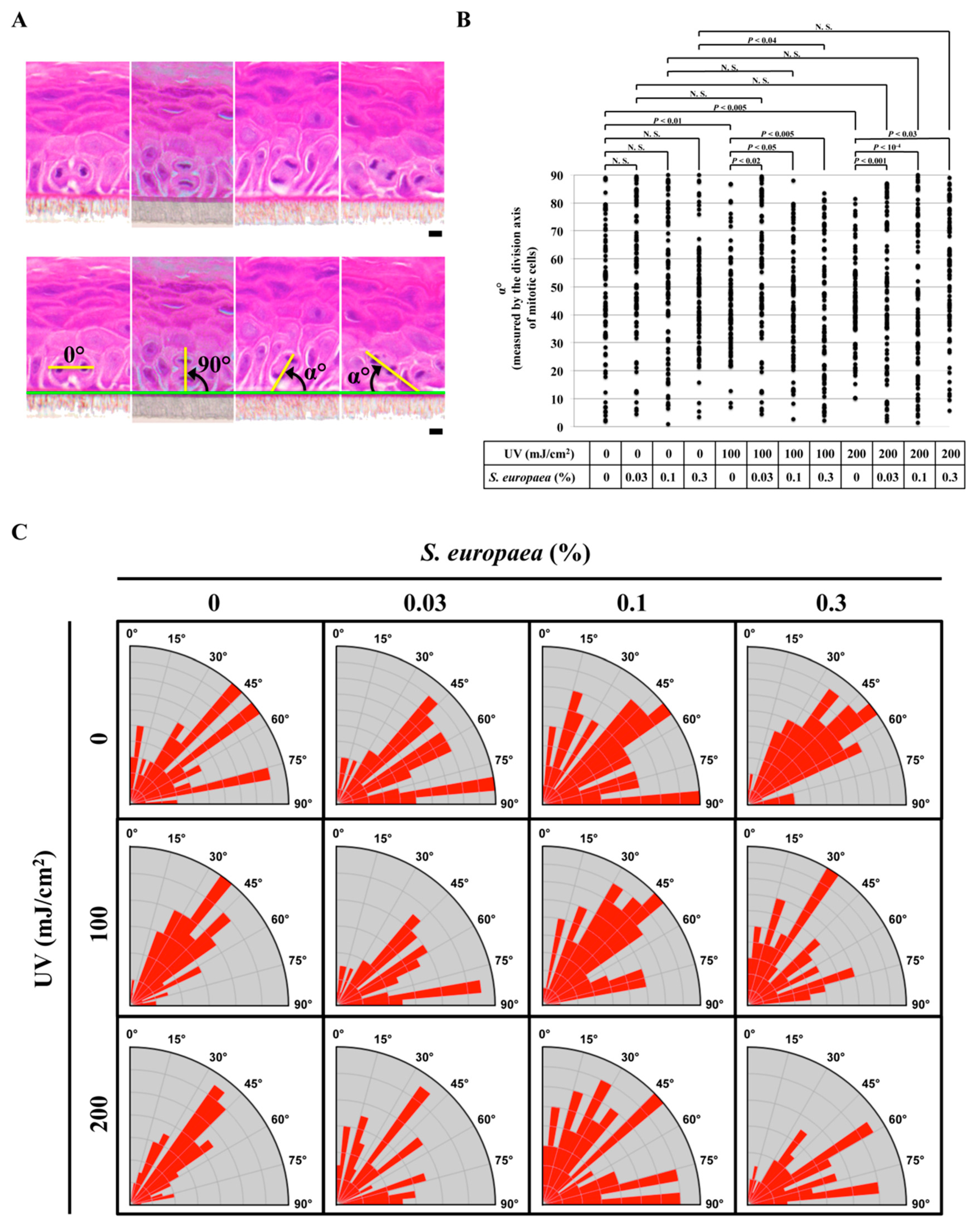 Cosmetics 07 00044 g003