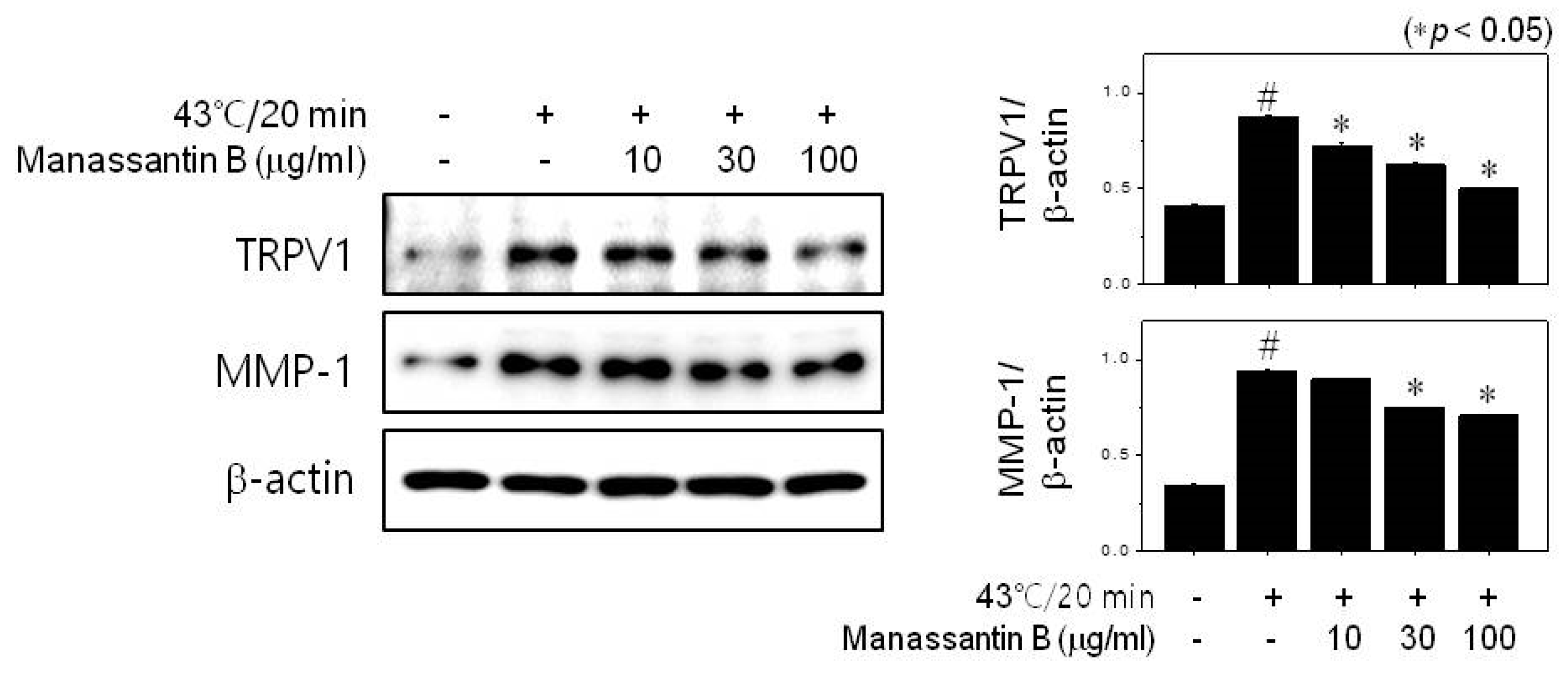 Cosmetics 07 00047 g003