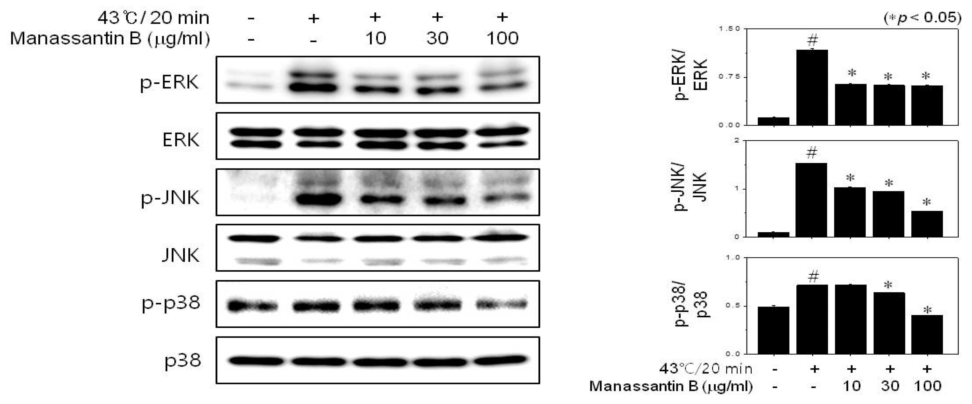 Cosmetics 07 00047 g005